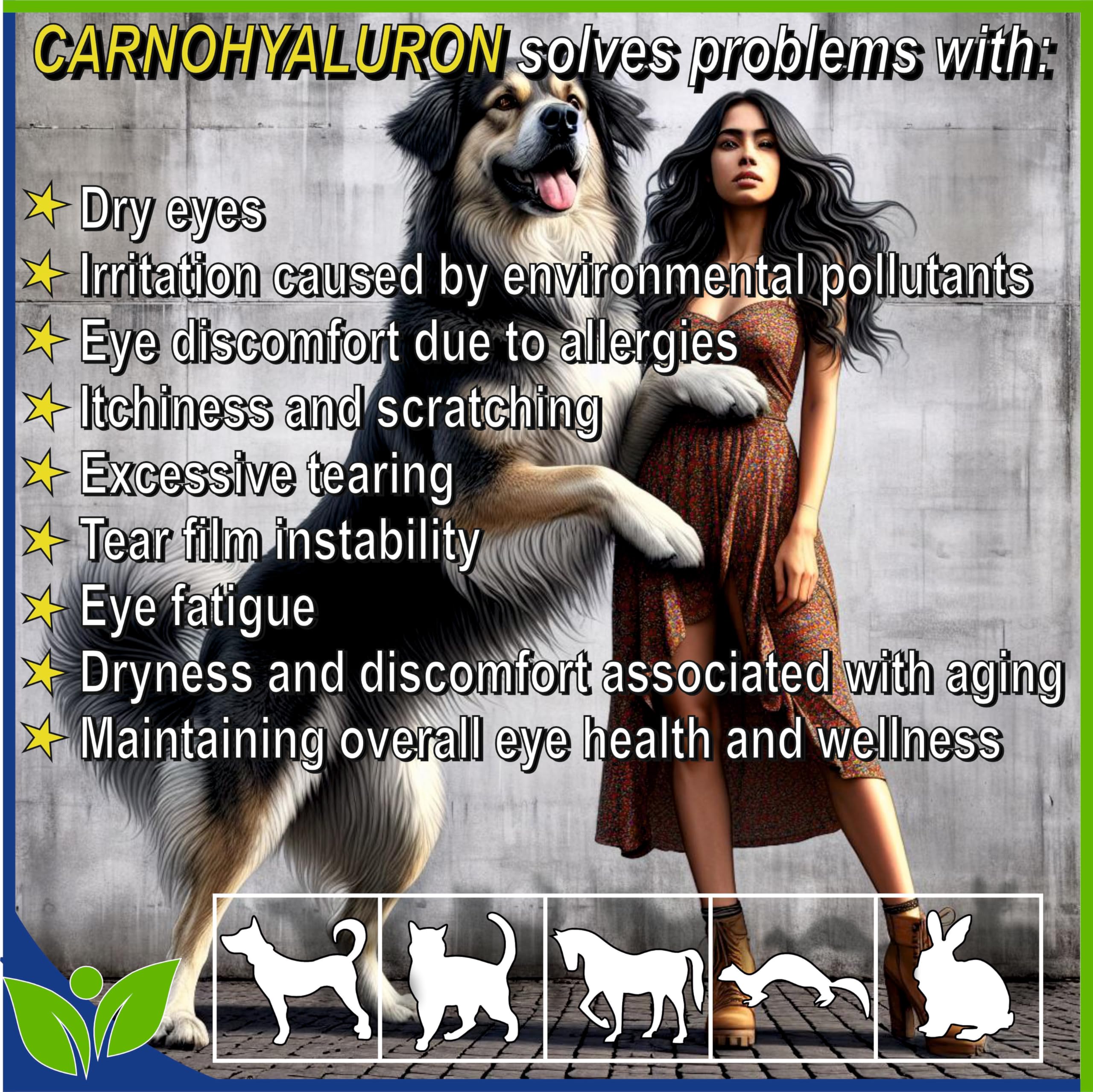 Lubricating Gel Eye Drops 15ml With Hyaluronic Acid 0.25% & L-Carnosine For Pets Cat & Dog Moisturizer Soothes Dryness And Irritation & Itchy, Daily Use To Relieve Dry Eyes Artificial Tears — Amazon image 3