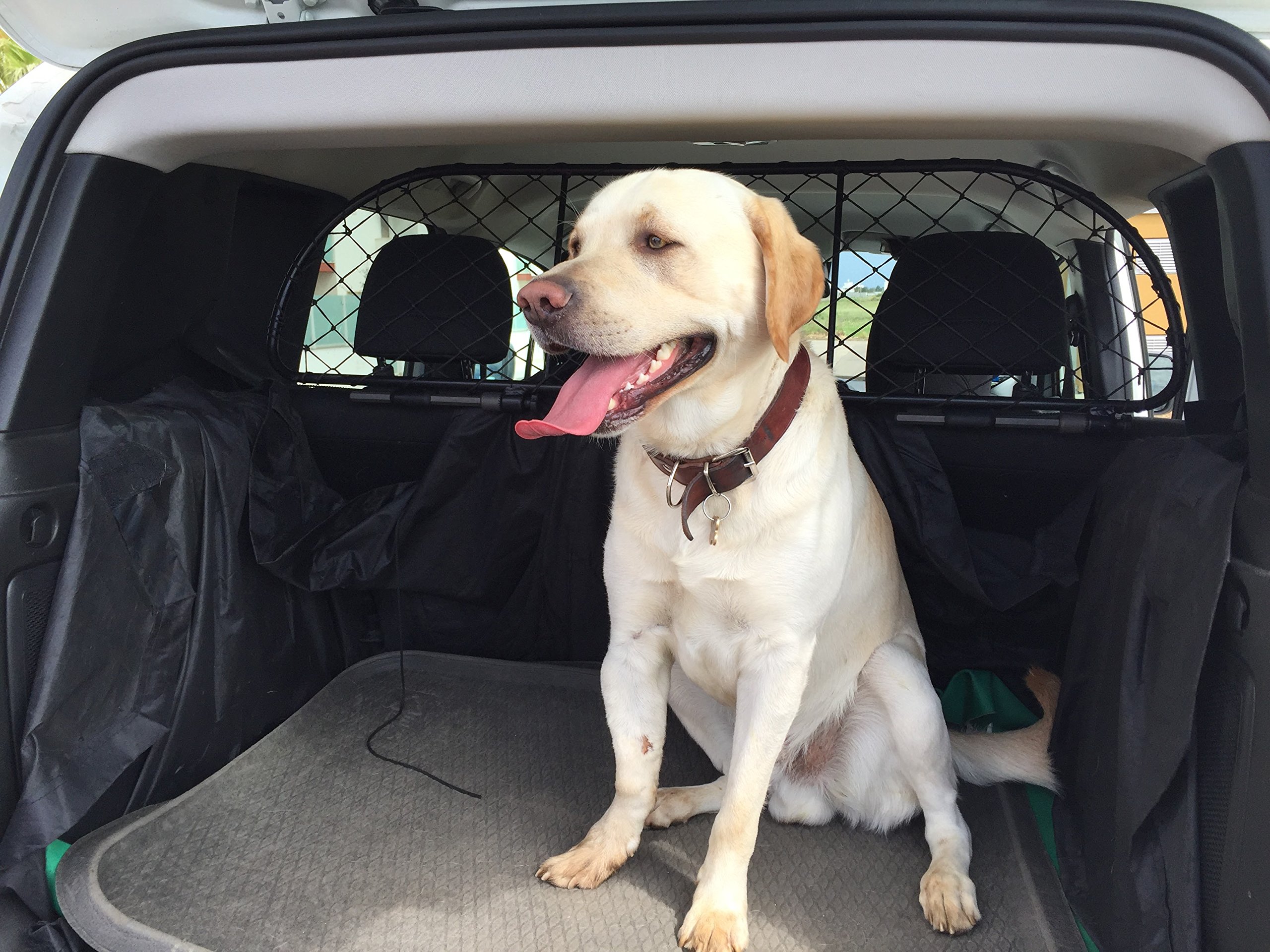 ERGOTECH Rejilla Separador protección para Jeep Renegade, RDA65-M, para Perros y Maletas. Segura, Confortable para tu Perro, Garantizada!