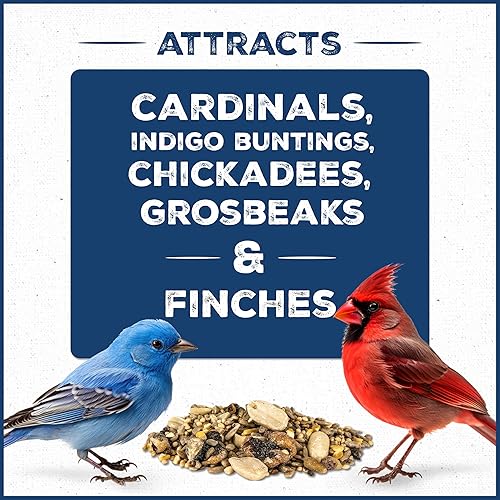 Vista 97 de Pennington - Pride Wild Finch - Mezcla de semillas para pájaros silvestres, 10 libras