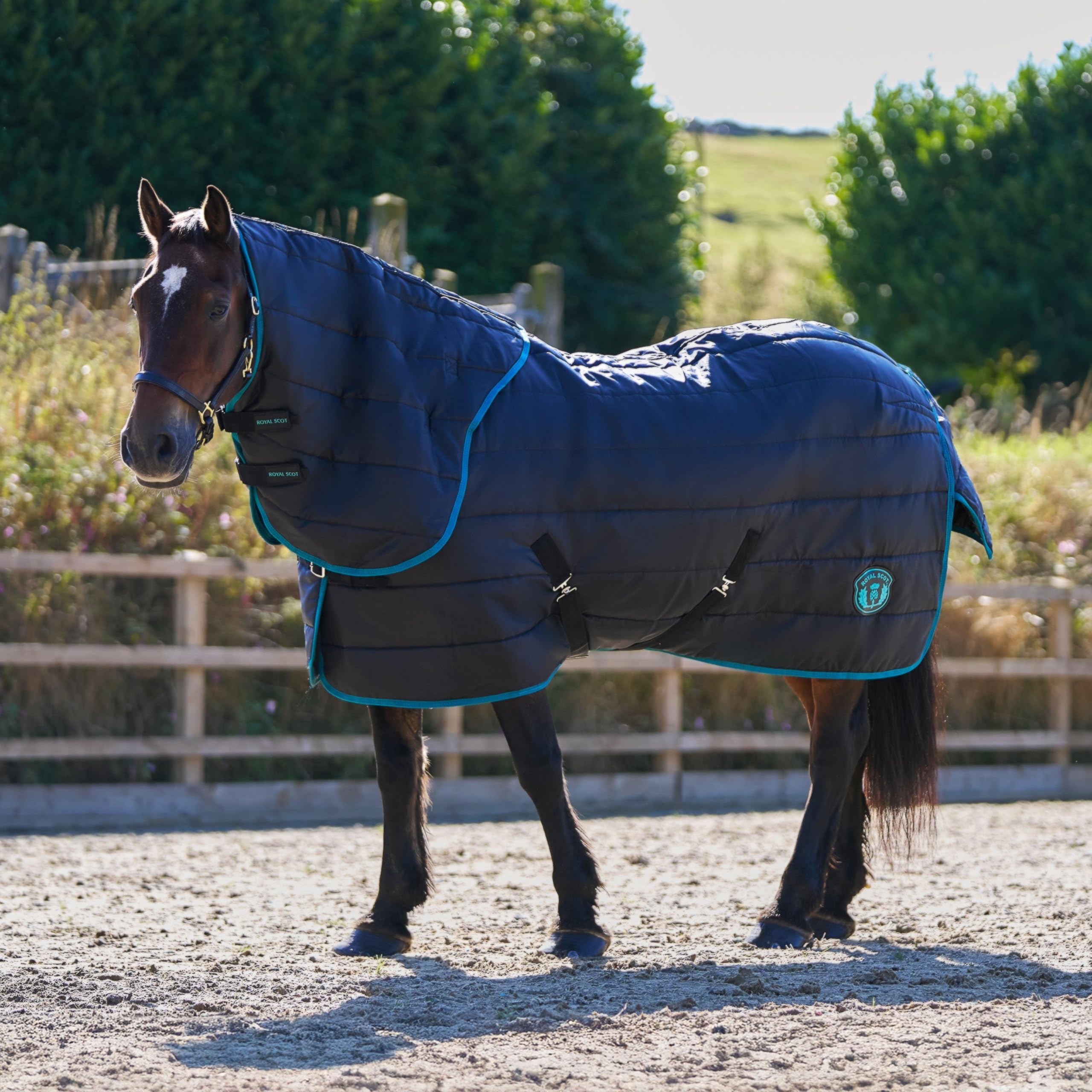 Royal Scot Original 250g Medium Detach-A-Neck Stable Rug Black/Ocean (Black/Ocean, 6'3)