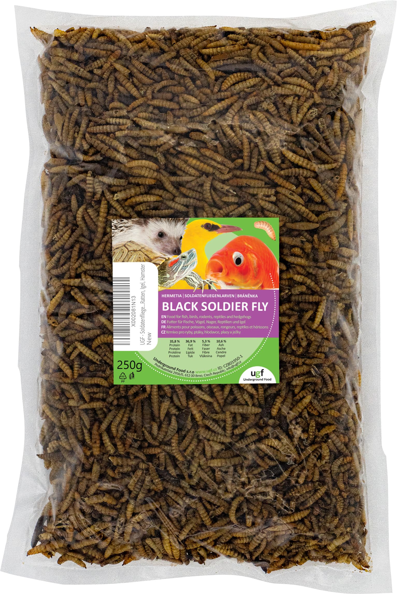 Hermetia larve di mosca soldato BSFL 250 g calcio per uccelli selvatici tartarughe ratti ricci