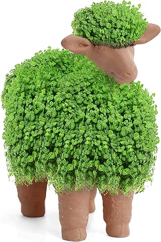 Miniatura 3 de Budding Buddies - Maceta decorativa para mascotas, regalo novedoso de terracota, cabeza de mascota, divertida y fácil de cultivar, perfecta para