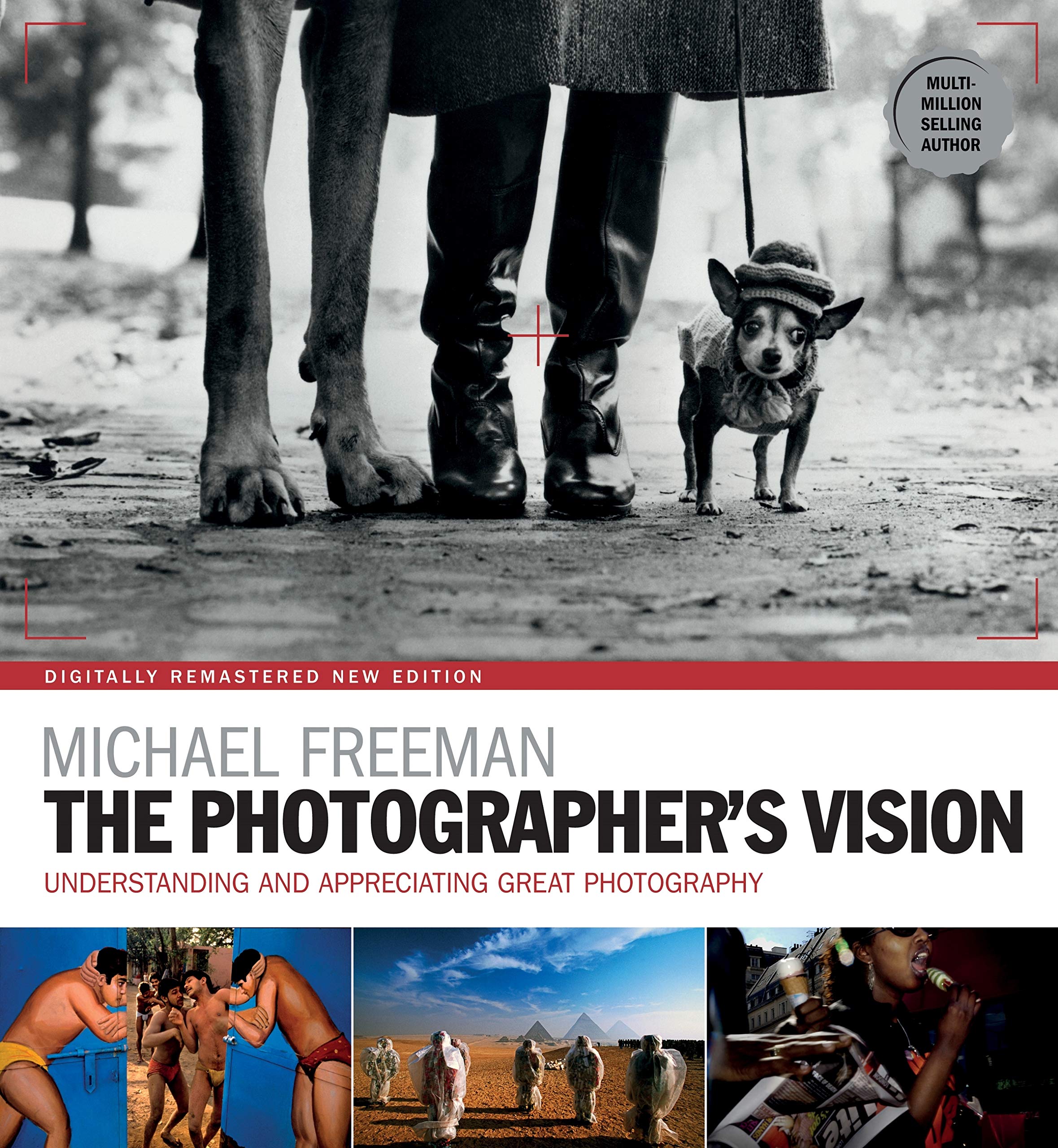 The Photographer's Vision Remastered (The Photographer's Eye Book 3)