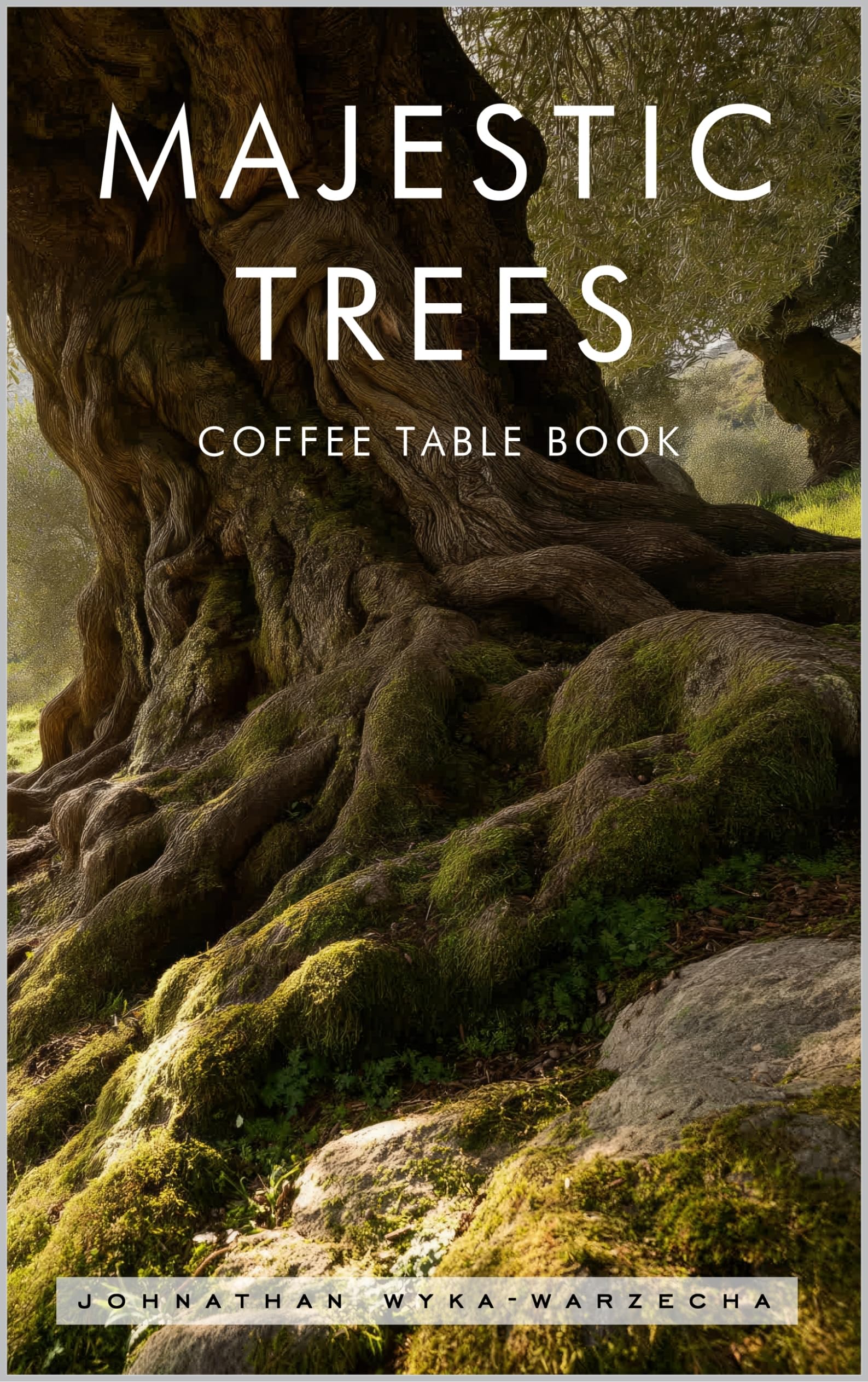 Livre d'images relaxant nature pour s'évader au quotidien