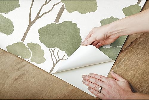 Miniatura 3 de RoomMates RMK12063WP Umbrella Pines - Papel pintado para despegar y pegar, verde/marrón