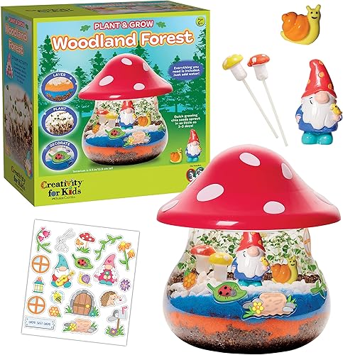 Creativity for Kids Plant and Grow Woodland Forest kit de terrario Actividades para niños, ciencia educativa y manualidades para niños de 6 a 8