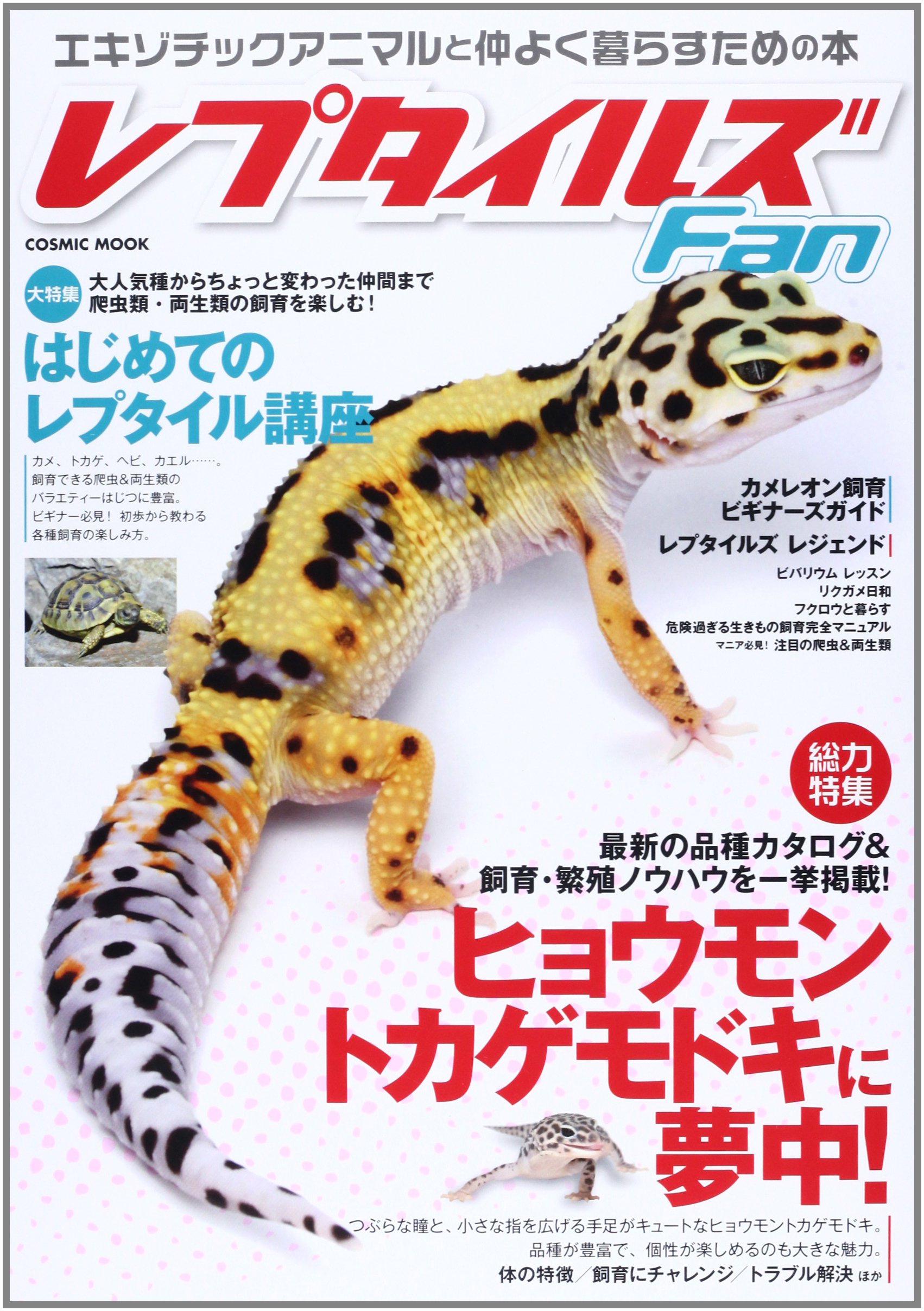 レプタイルズ Fan Vol.1〜5 全5冊 まとめ売り コスミック出版 Amazon