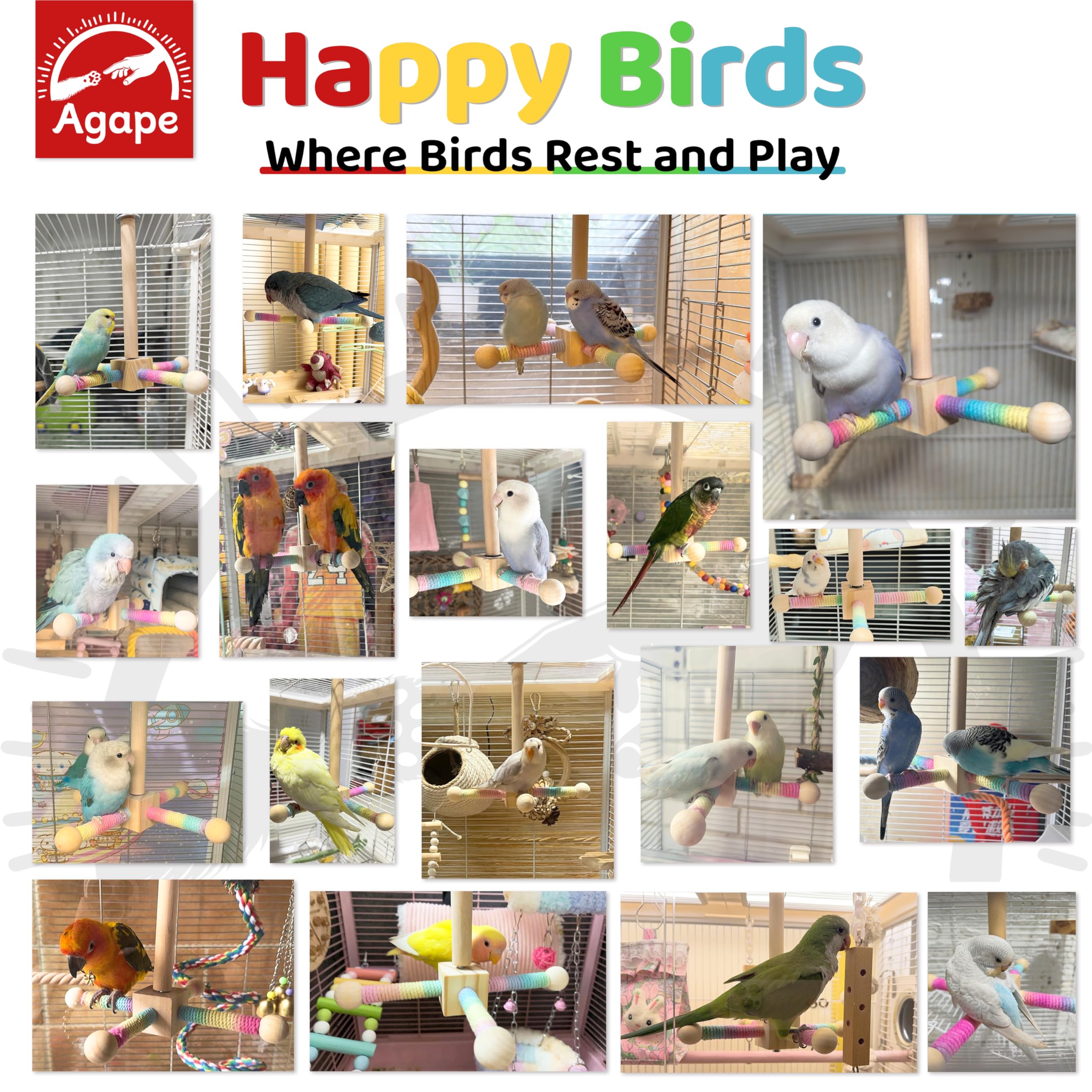 Agape Juguete de perca para pájaros, juguete giratorio interactivo de 360°, accesorios para jaula de pájaros para loros pequeños y medianos para gastar energía, soporte de madera para periquitos,