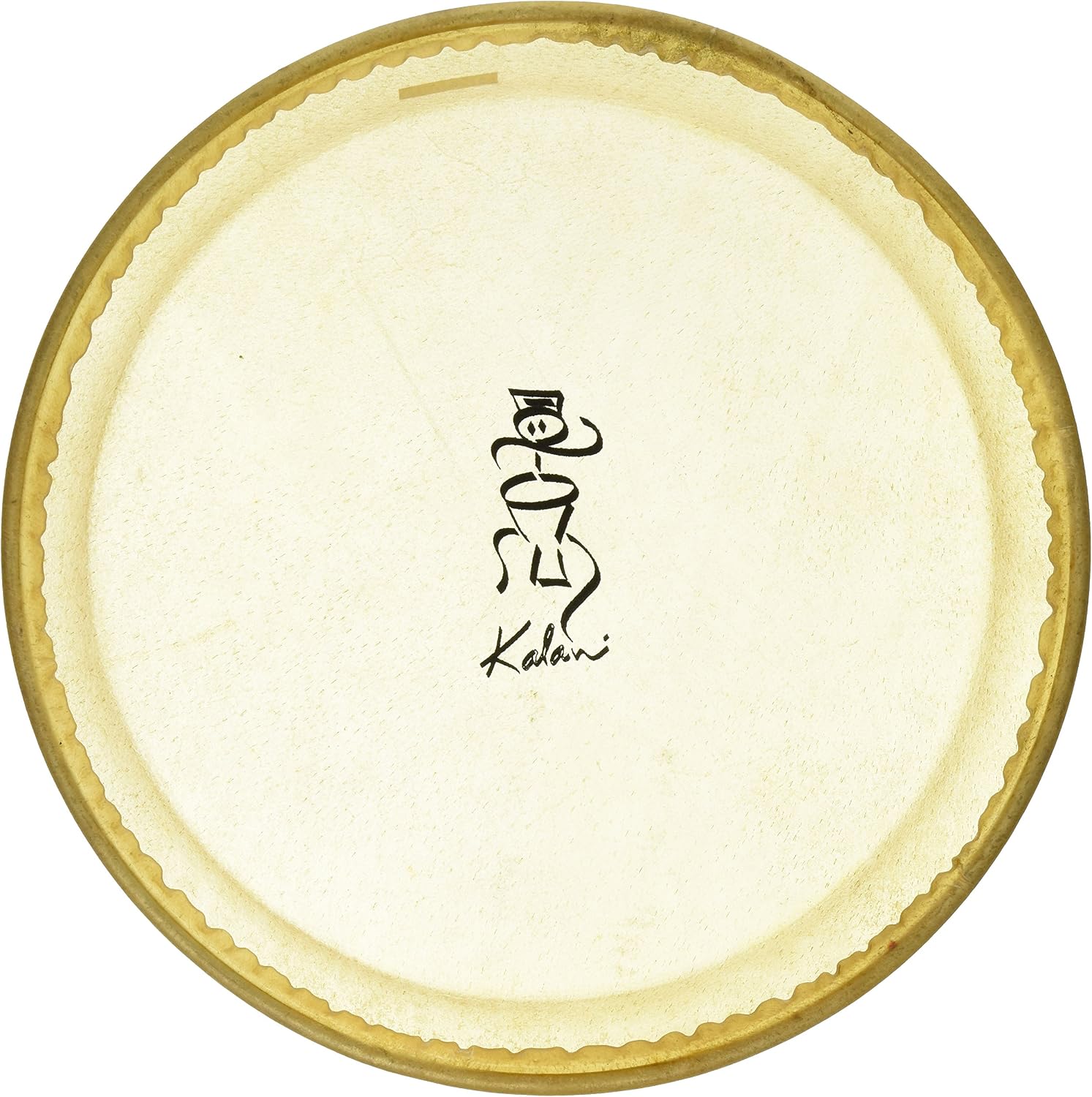 Toca TP-KDDLH Kalani Doun Doun Head - Large