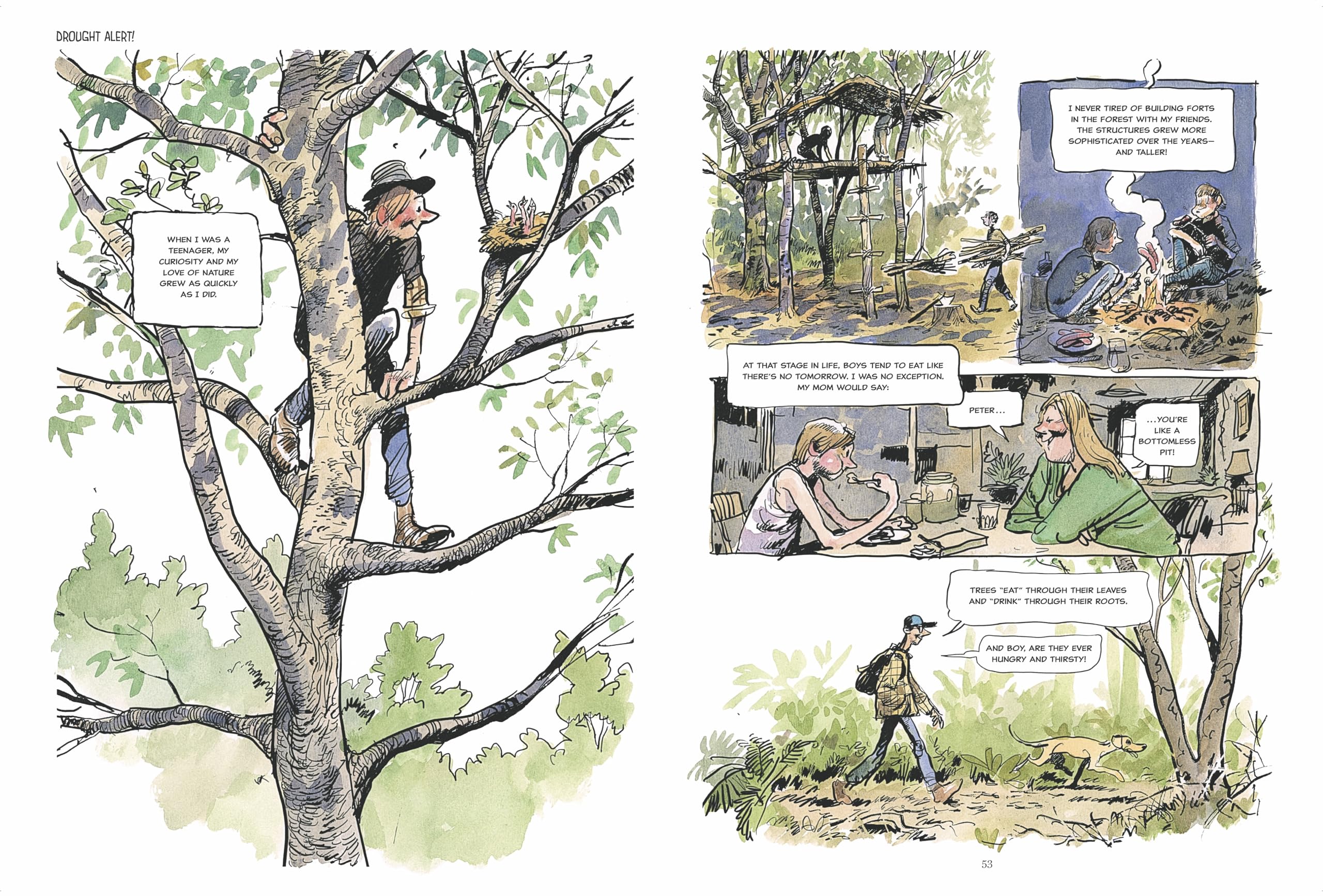 The Hidden Life of Trees: A Graphic Adaptation: (Of the International Bestseller)