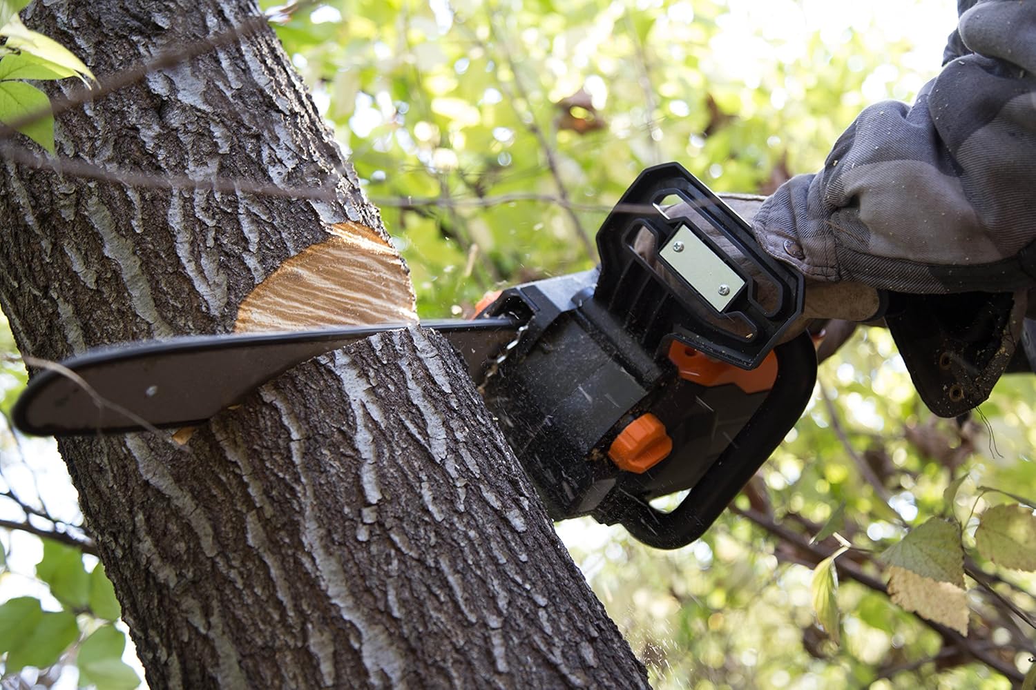 WEN 40417 Chainsaw in use