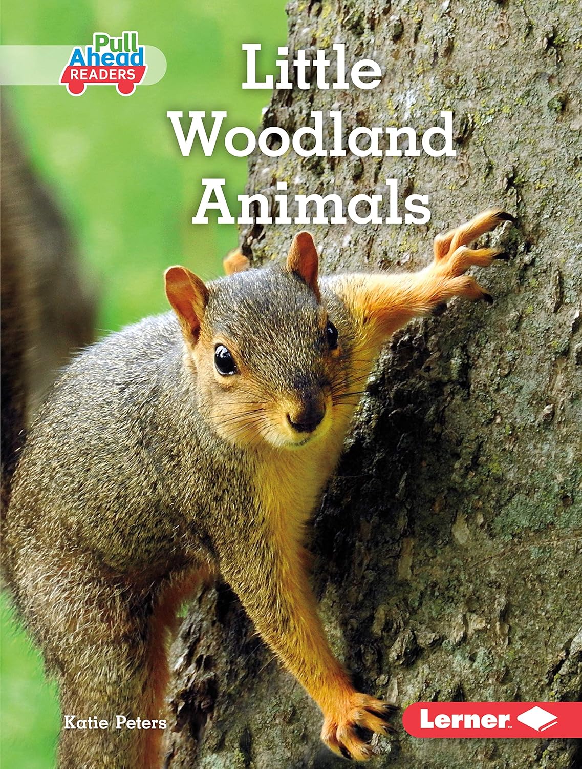 Little Woodland Animals (Let's Look at Animal Habitats