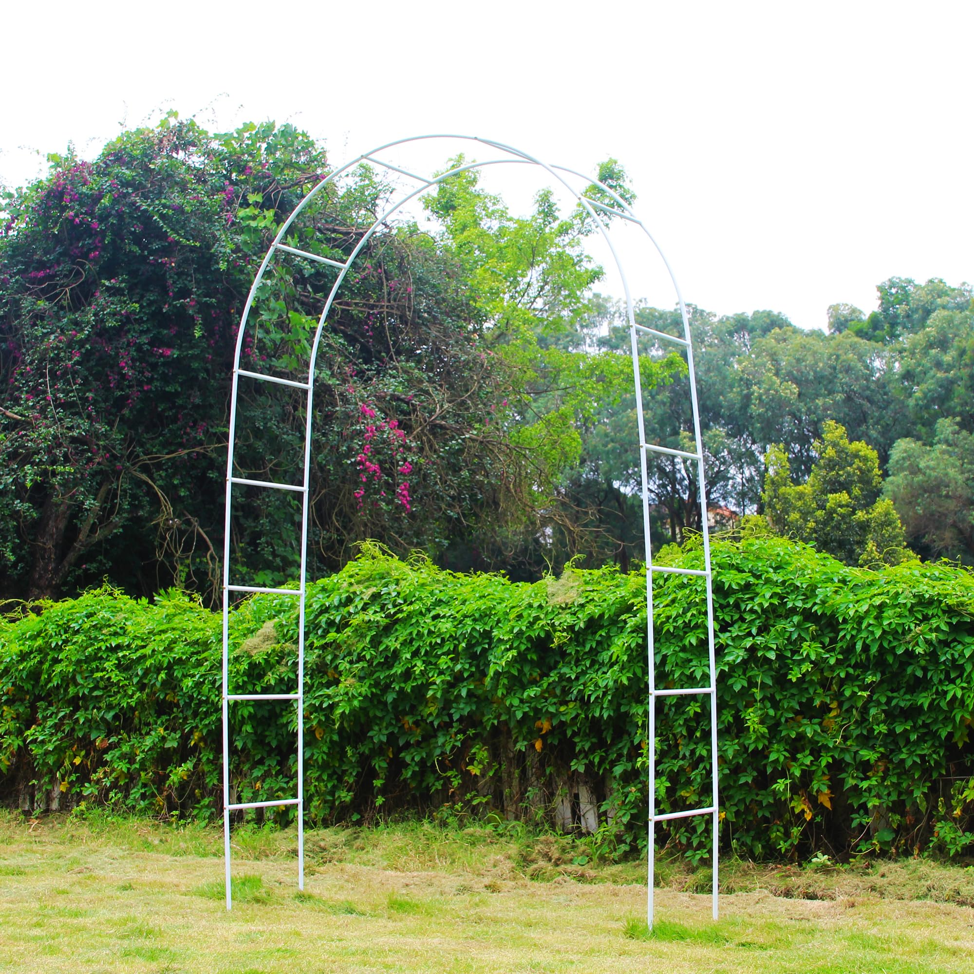 THORISE White Metal Pergola Arbor