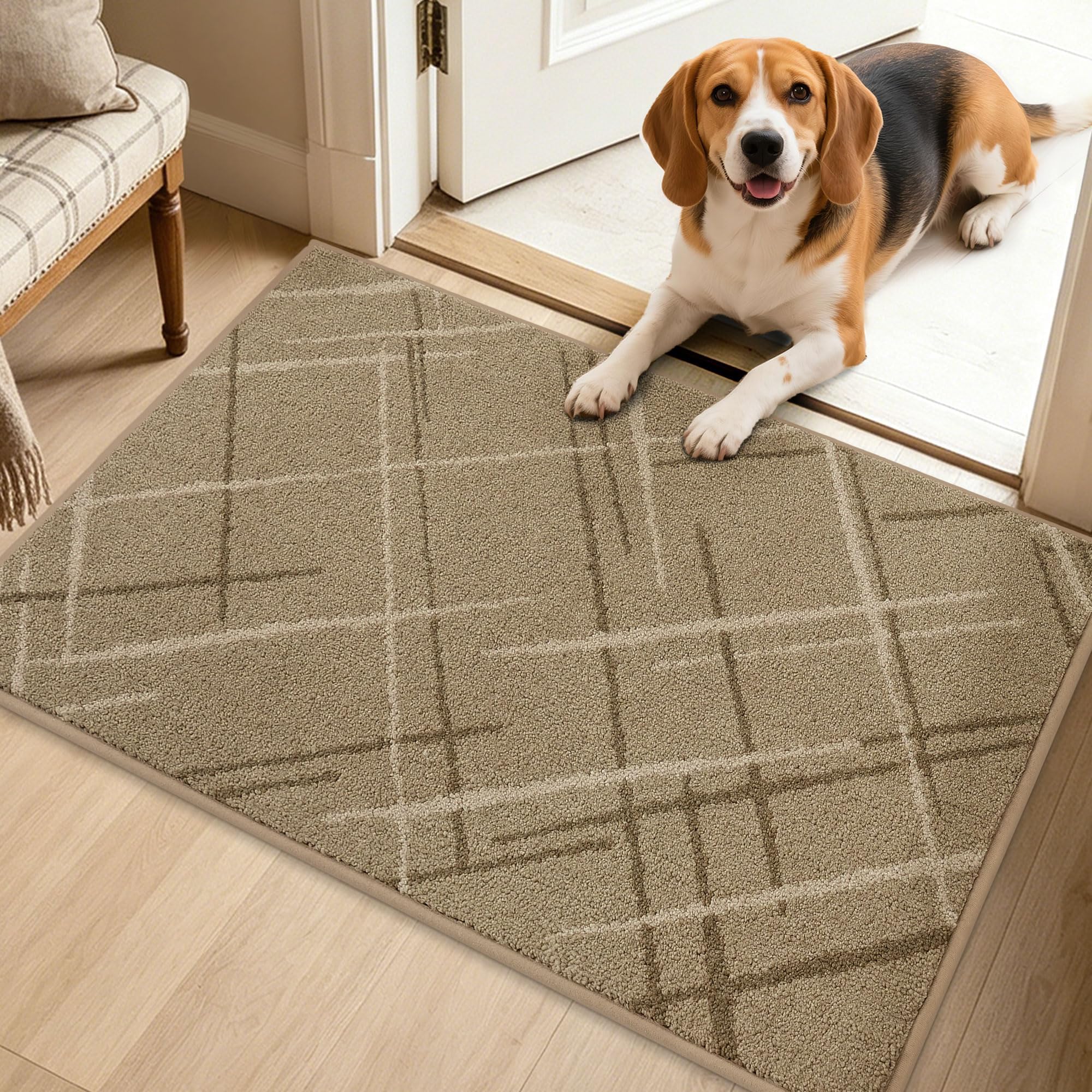 BEQHAUSE Blue Door Mat - Non-Slip Entryway Rug -26