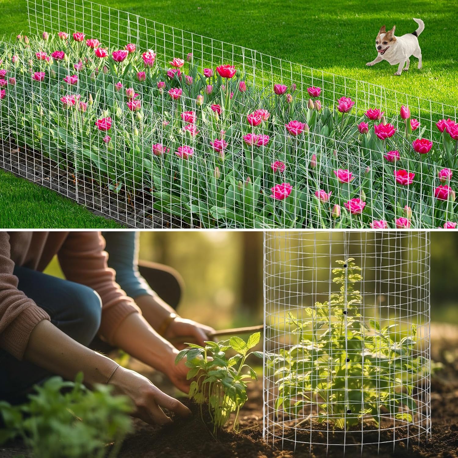 LEIFIDE Plant Protector Cage 30 ft x 16 Inch 20 Gauge 3/4'' Hardware Cloth Roll Garden Wire Protector with 30 U Stake &100 Zip Ties Galvanized Welded Wire Mesh Fencing for Animal Tomato Chicken Coops