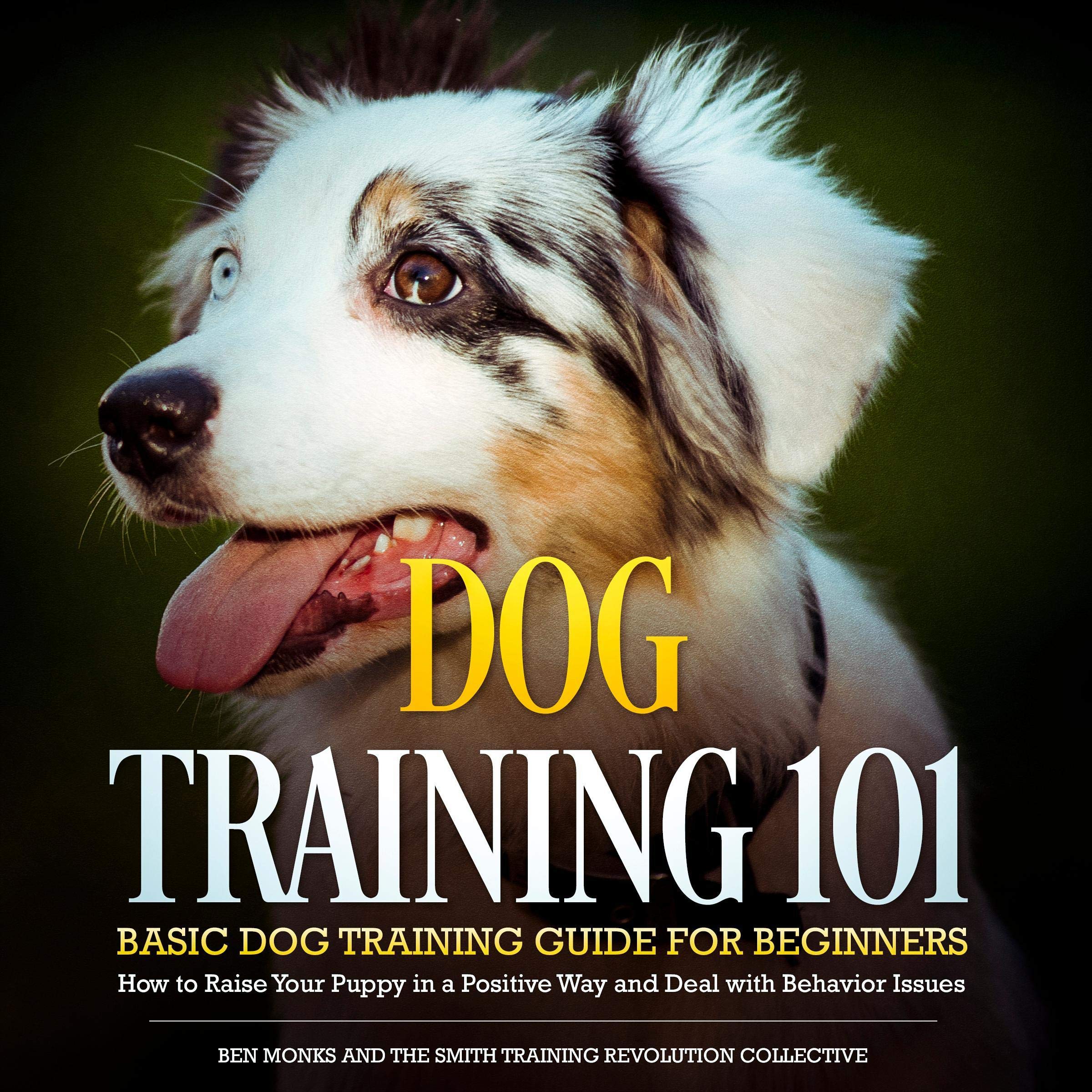 Cover art for Dog Training 101: Basic Dog Training Guide for Beginners