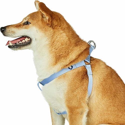 Miniatura 7 de Blueberry Pet Essentials - Arnés clásico y duradero de nailon sólido para perro, contorno de pecho de 16.5 a 21.5 pulgadas, morado, pequeño, arneses