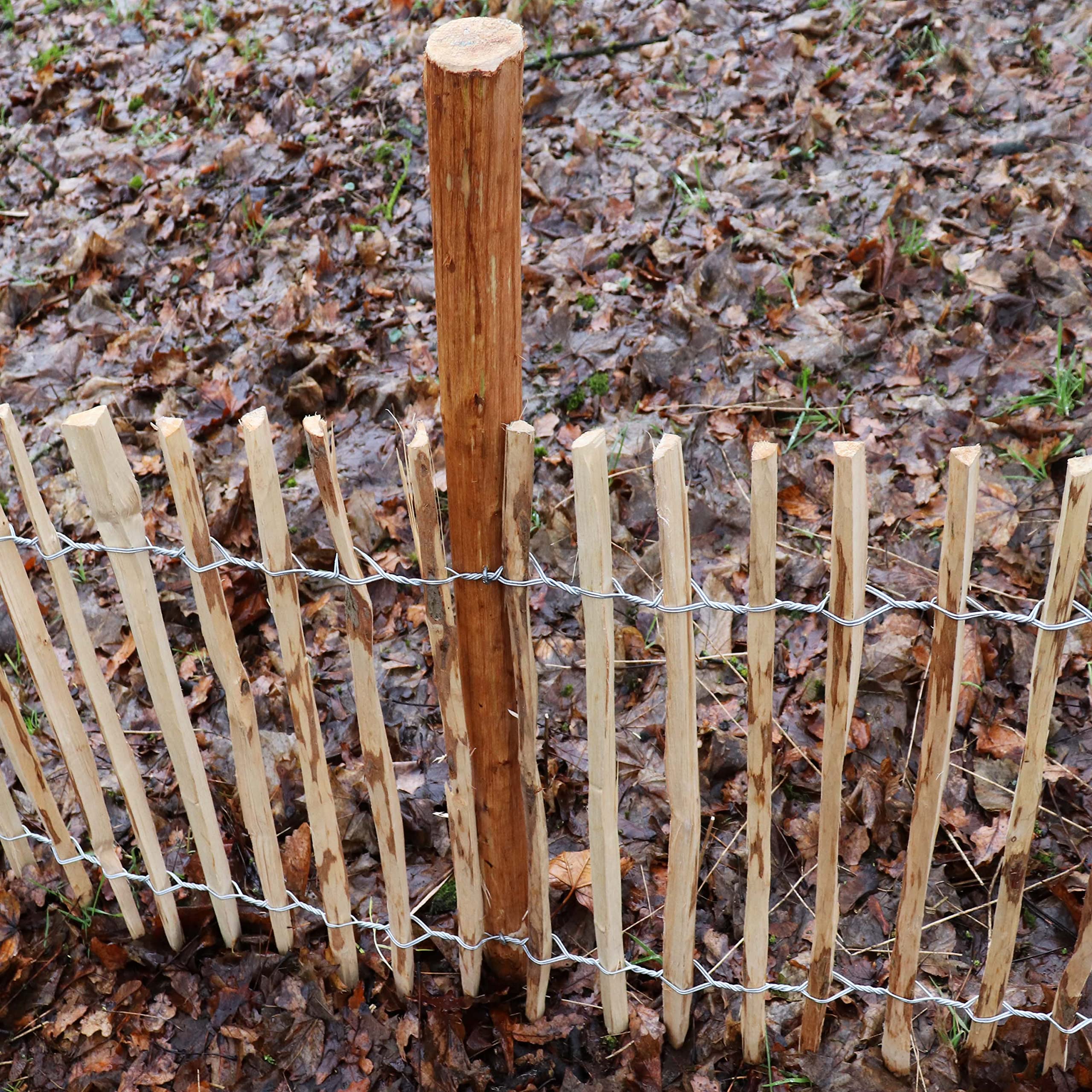 Aquagart Holzpfosten für Staketenzaun I Zaunpfosten aus Haselnuss I Langlebiger Stützpfosten & Rankhilfe I Vielseitiger Holzpfosten I Naturprodukt I Versch. Größen (Haselnuss 5 Stück 1,05m lang)