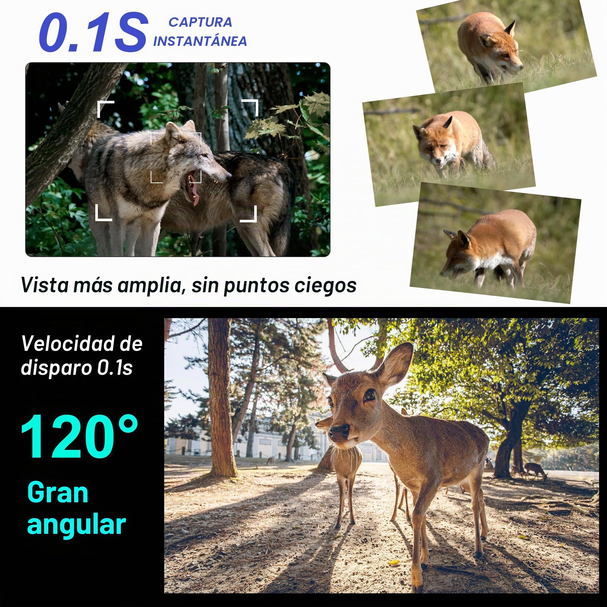 Origem Camara Fototrampeo WiFi 64MP 4K, Cámara Caza con Tarjeta SD de 64 GB,0.1s Disparo, IR Invisible 940nm, Visión Nocturna 25m IP66 Impermeable para Vigilancia Forestal