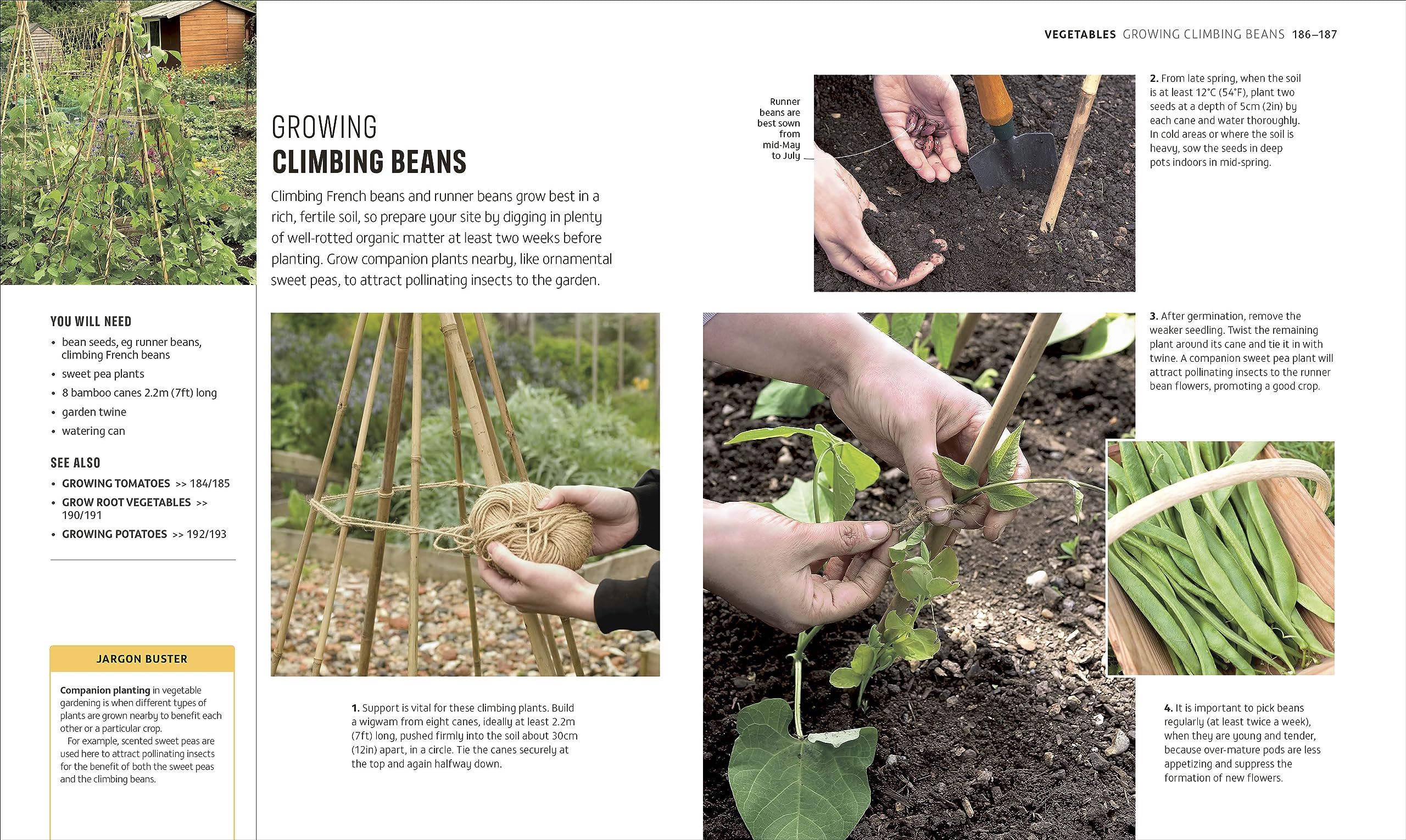 RHS How to Garden When You're New to Gardening: The Basics for Absolute Beginners