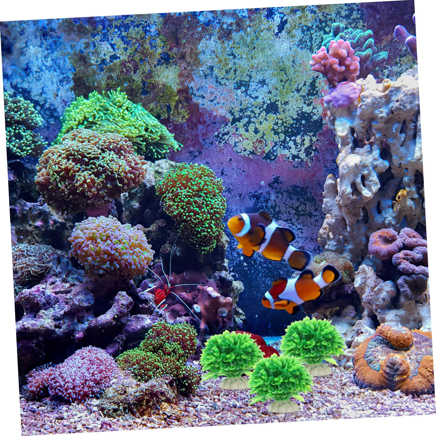 BESPORTBLE 30stücke Teiliges Künstliche Wasserpflanzen Für Aquarien Dekoration Für Fischbehälter Langlebig Und Für Aquarienlandschaften