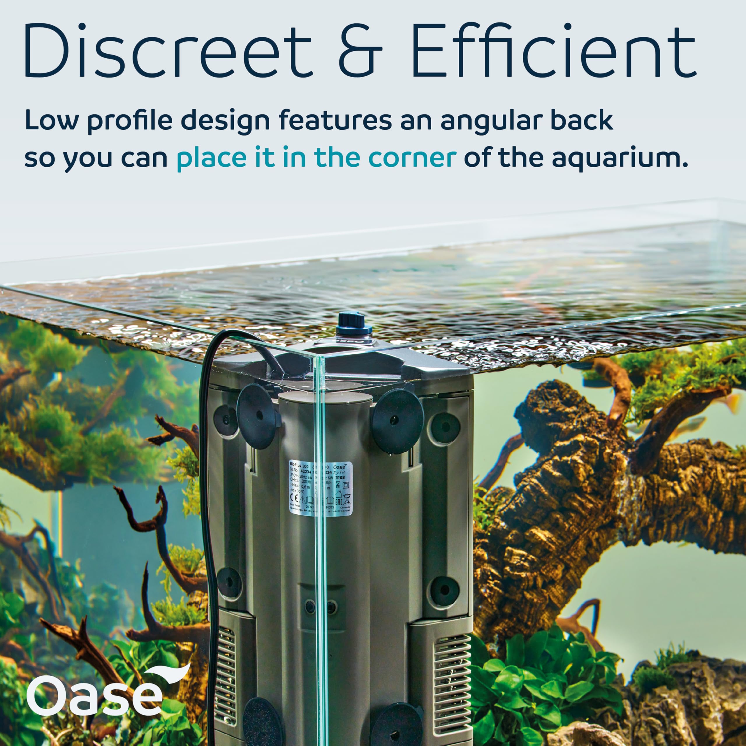 Amazon.com: Oase BioPlus Thermo 100 Compact Internal Filter for