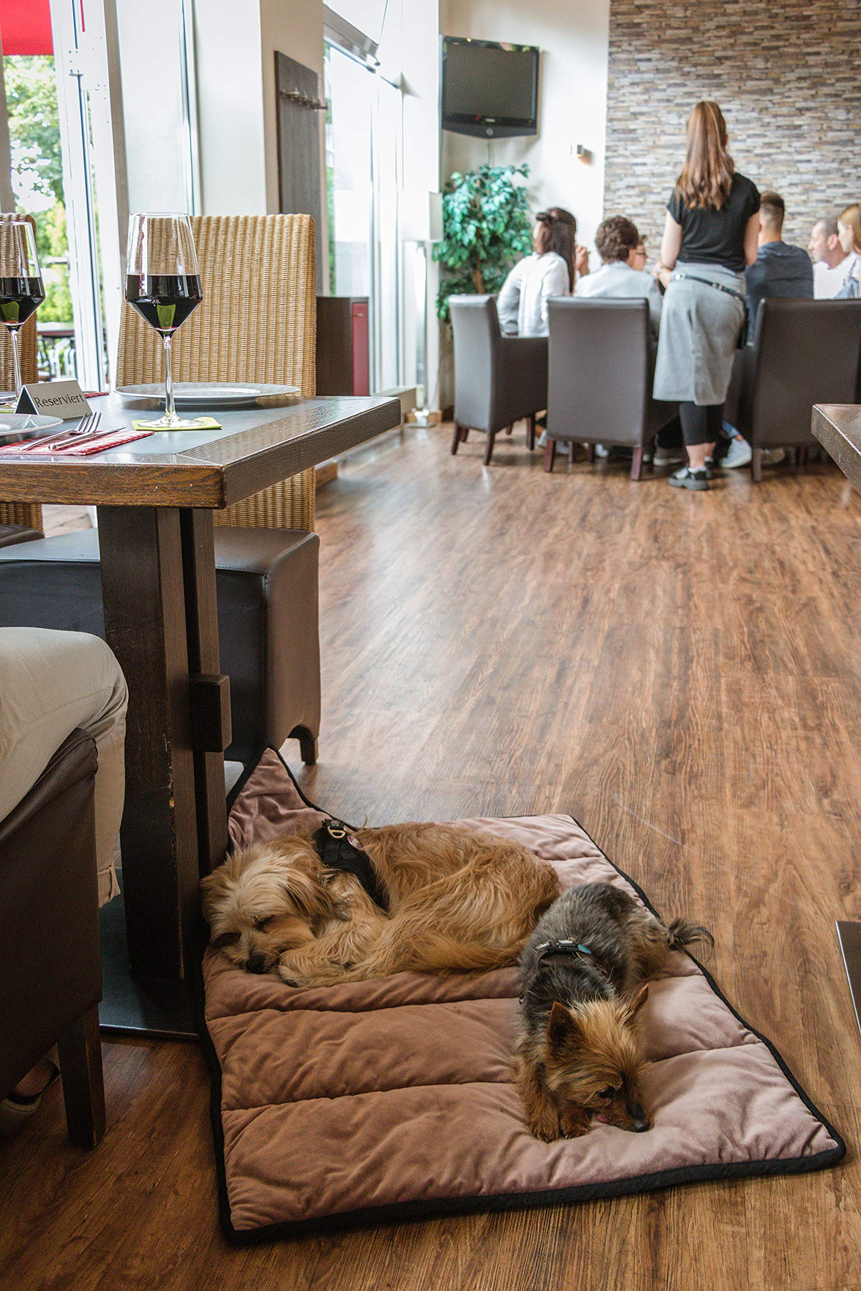 TrendPet Reisedecke Hund – Restaurantdecke Faltbar 75x55 cm Hundedecke
