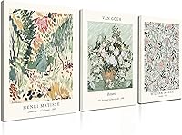 Induslyfe Sage Green Framed Vintage Canvas Wall Art Set of 3 - Matisse Mid-Century Modern Botanical Prints, 12x16 Boho Decor for Bedroom, Living Room, Bathroom