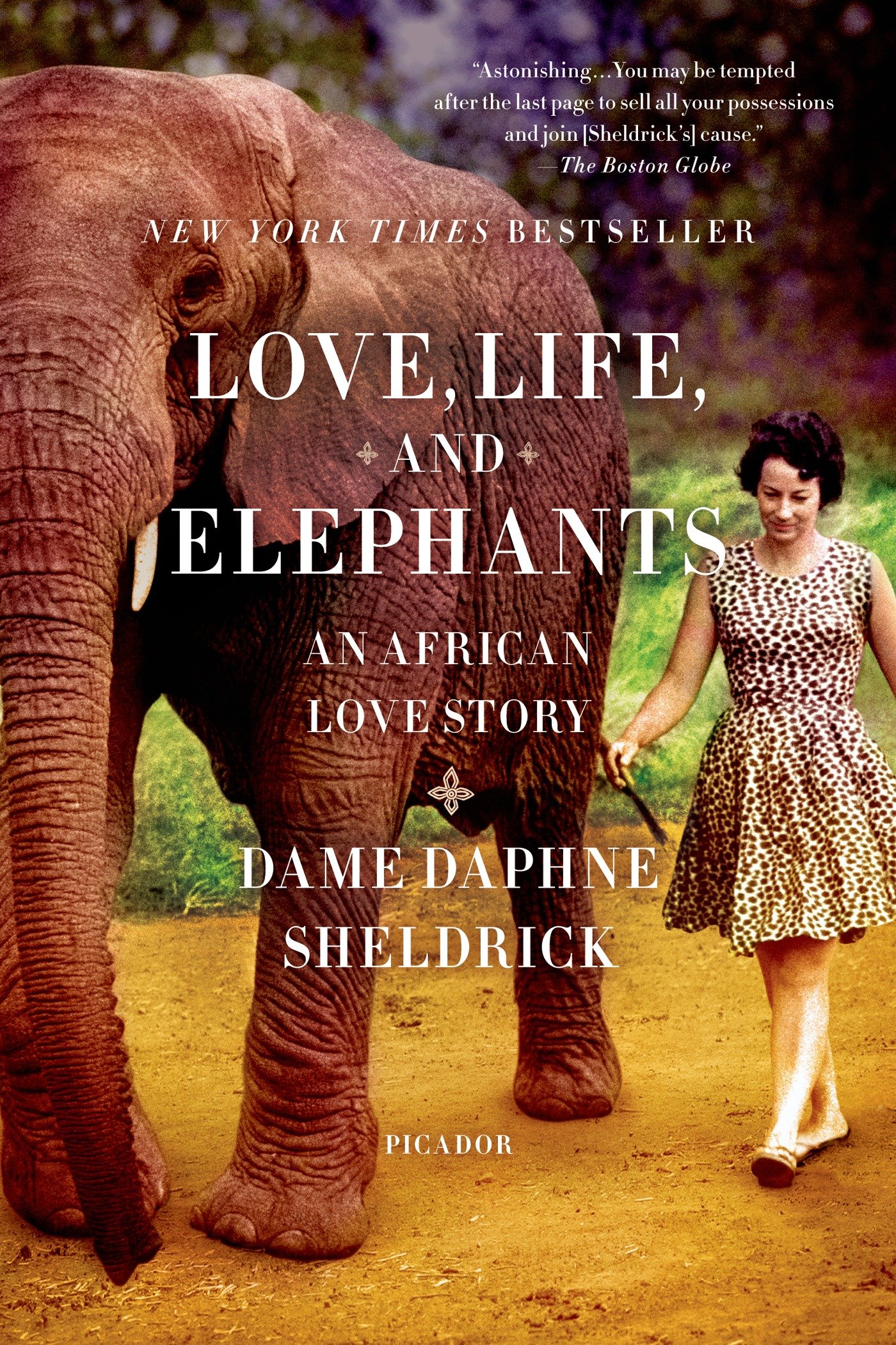 Love, Life, and Elephants An African Love Story by Daphne Sheldrick - Paperback