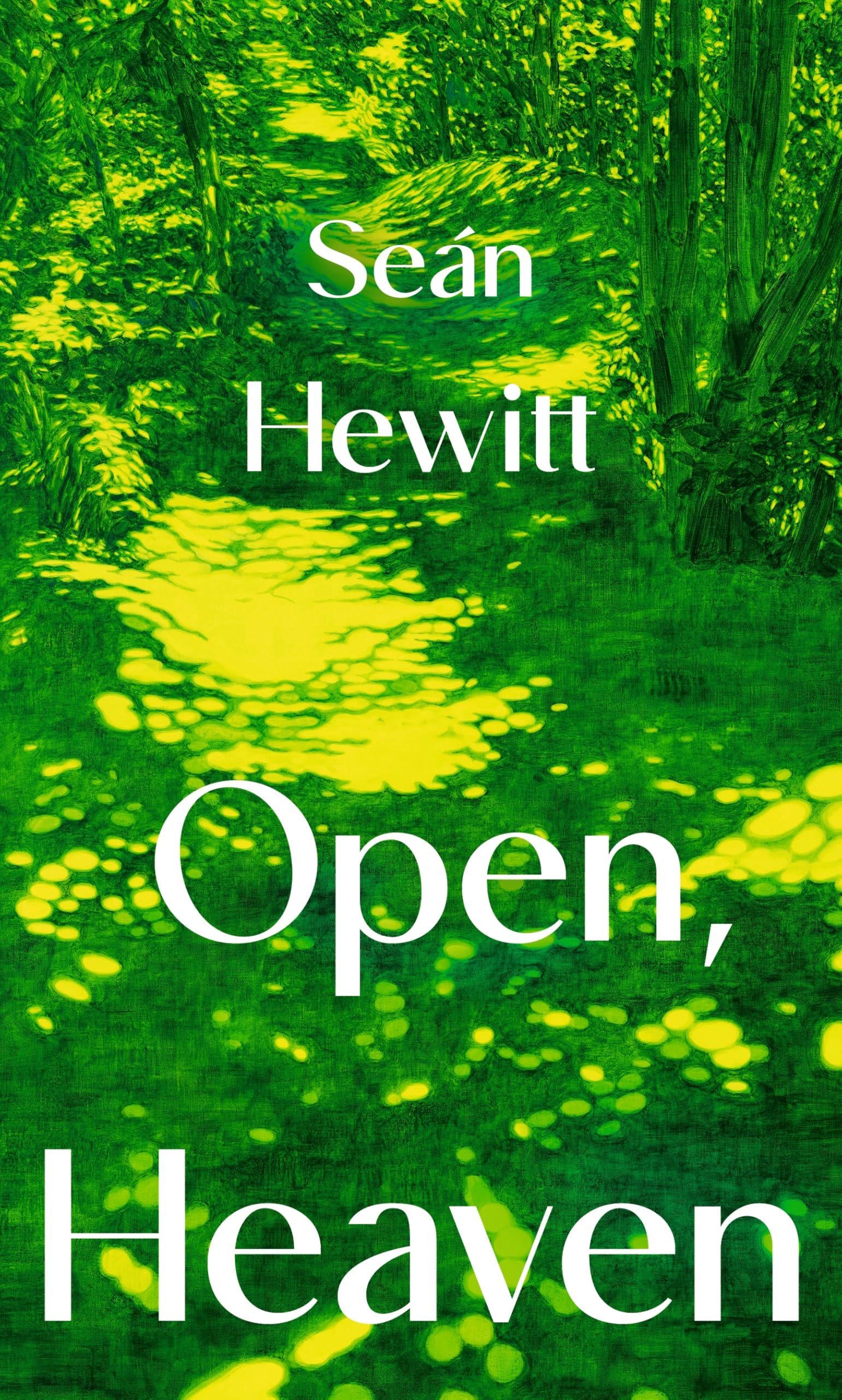 Open Heaven by Seán Hewitt HARDBACK 9781787335196