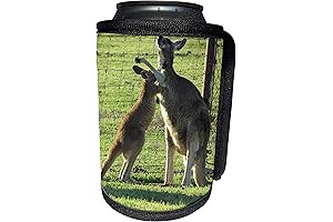 Can Cooler Bottle Wrap - Red Kangaroos