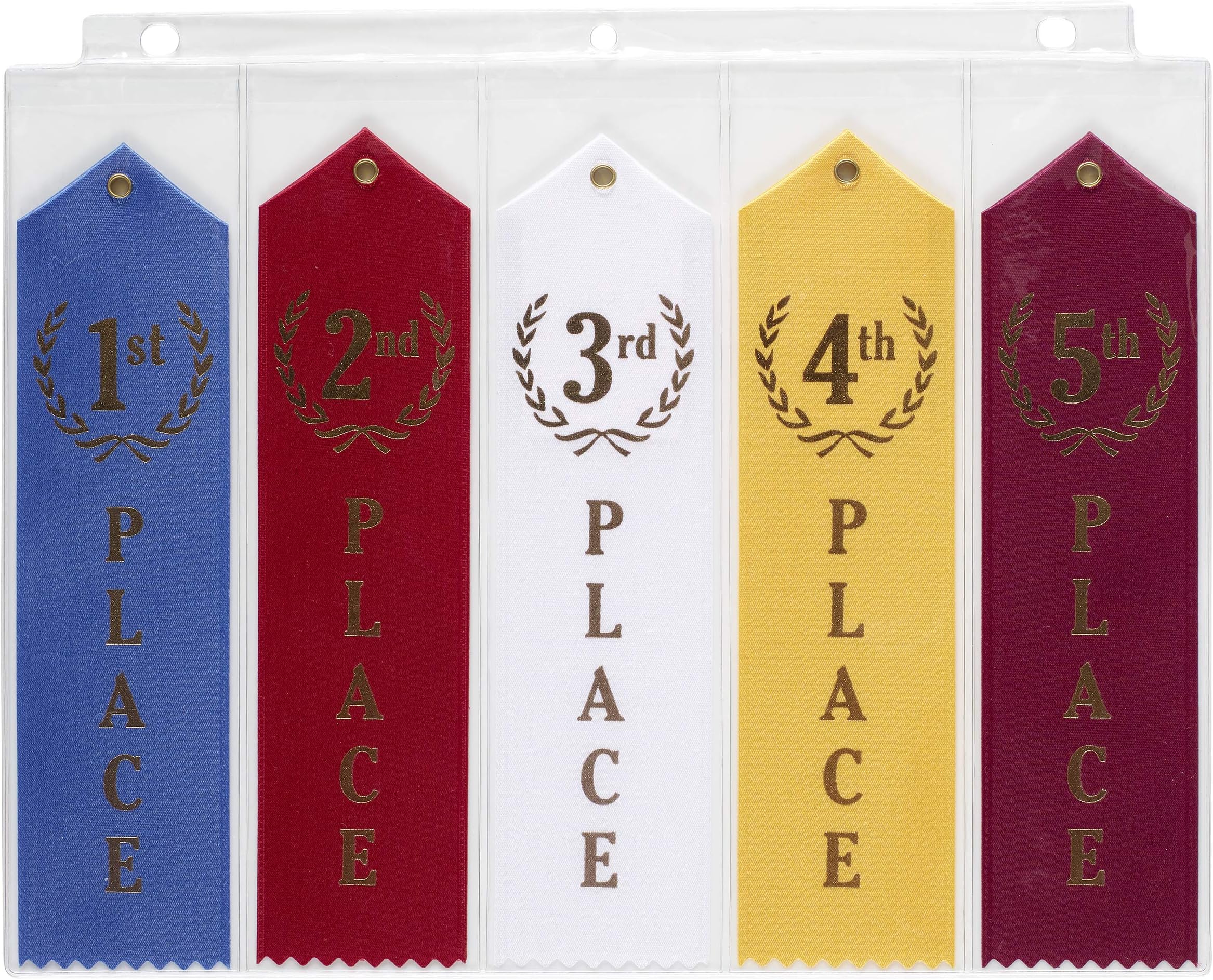 10 Swimming Ribbons Organizer Holder Display Storage Gymnastics Track Award Ribbon Strong Clear Robust Binder Pages Sheets - Mercurydean USA