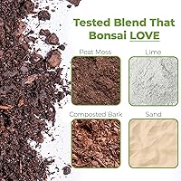 Vista 2 de Tierra para bonsái de Perfect Plants - Mezcla premium multiusos de 8 cuartos de galón Perfecta para varias plantas de bonsái Fabricada