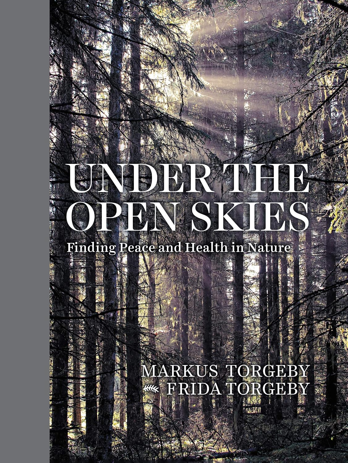 Under the Open Skies: Finding Peace and Health in Nature