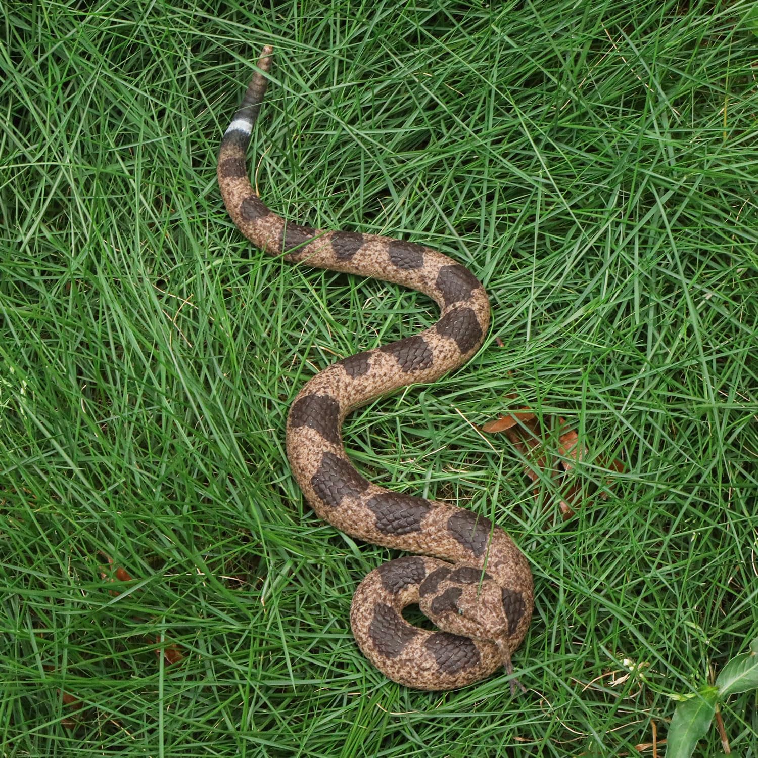 Rattle Snake Prank With String Clip, Rattlesnake Fake Snake On a String Prank, Realistic Rubber Snake Prank for Teasing Friends/ Keep Birds Away/ Hallowmas, Funny Prank Kit for Adults, Prank Stuff