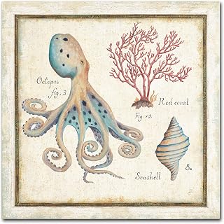 Trademark Fine Art Oceanography I Artwork by Daphne Brissonnet, 14 by 14-Inch