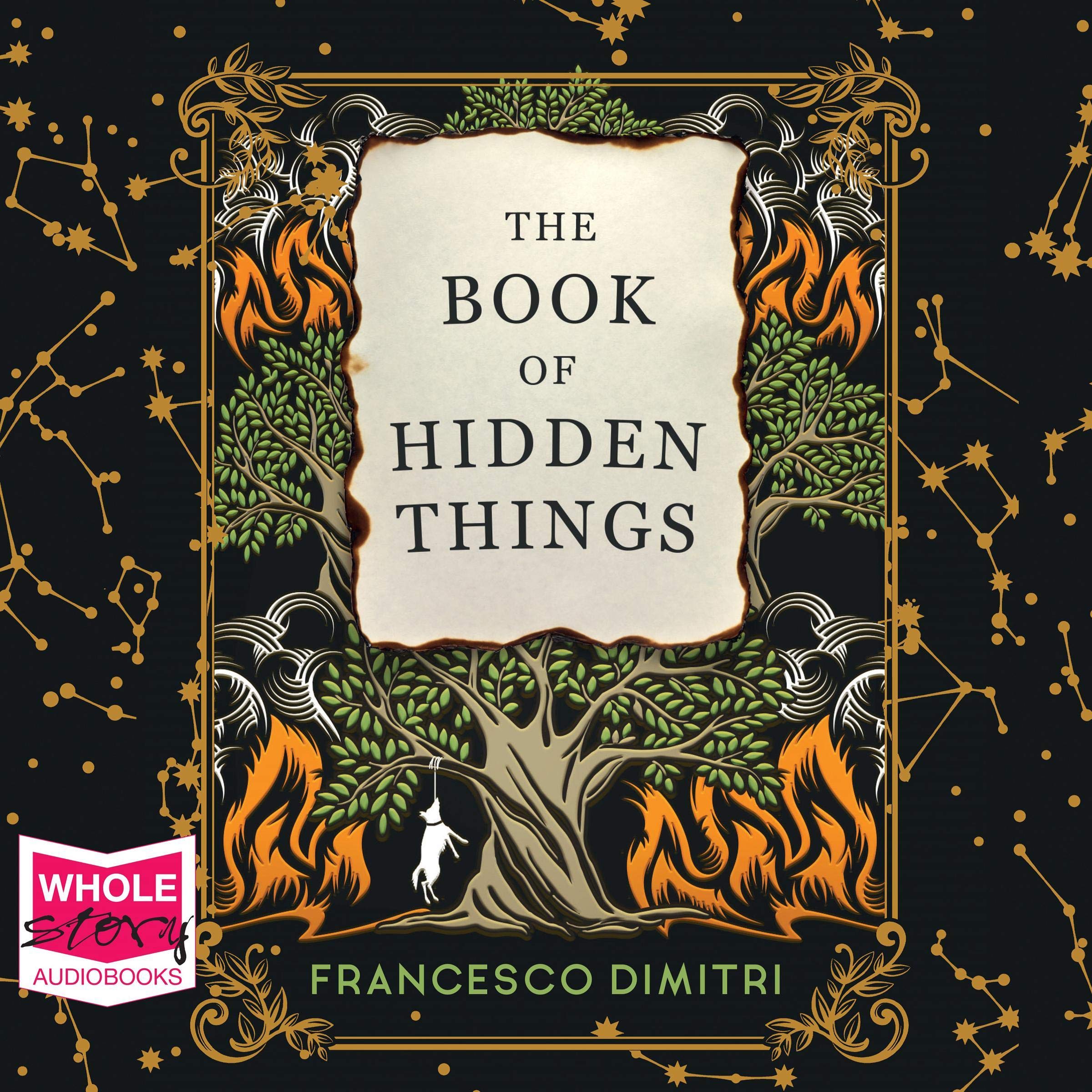 Cover art for The Book of Hidden Things