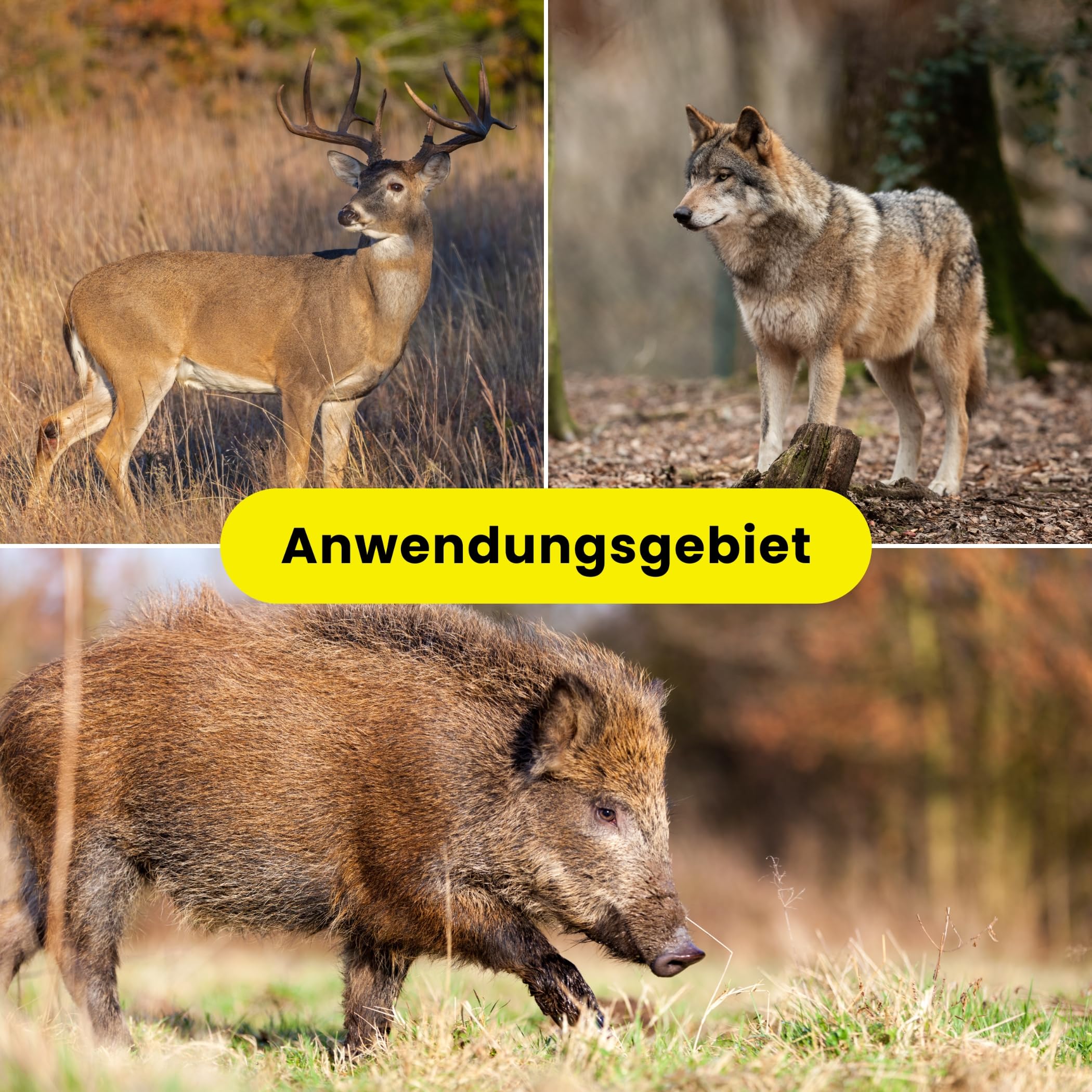 Weidezaunlitze ZEBRA 1000m für den Weidezaun Wildschutzzaun mit Kupferleiter Wildschwein Hirsch Rind