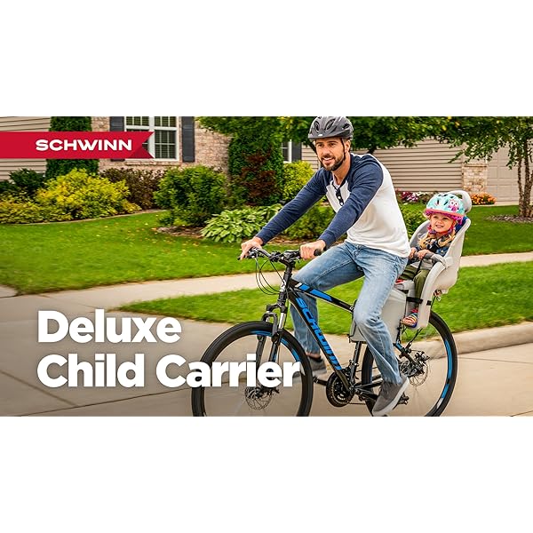 Schwinn Deluxe Bicycle Mounted Child Carrier/Bike Seat for Children Topdogsupply