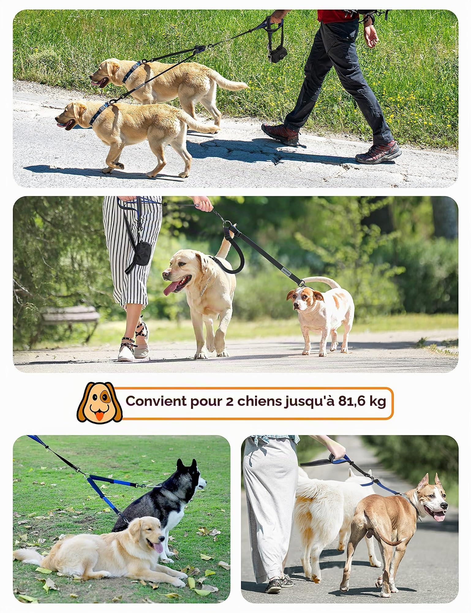 YOUTHINK Laisse Double pour 2 Chiens, Laisse de Dressage Réglable, Élastique 2m Réfléchissant en Nylon, 360º sans Enchevêtrement