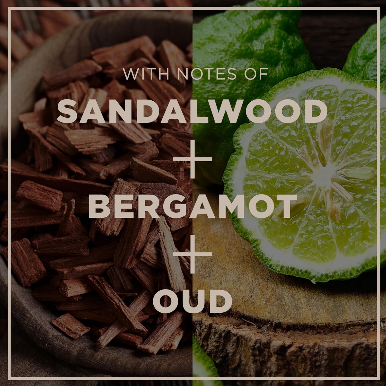 CHI pour Homme 3-in-1 Cleansing & Moisturizing Hair, Face & Body Wash for Men, Made With Aloe Vera & Nettle, Fresh, Woody Scent, Sulfate-Free, 11.5 oz - Image 3