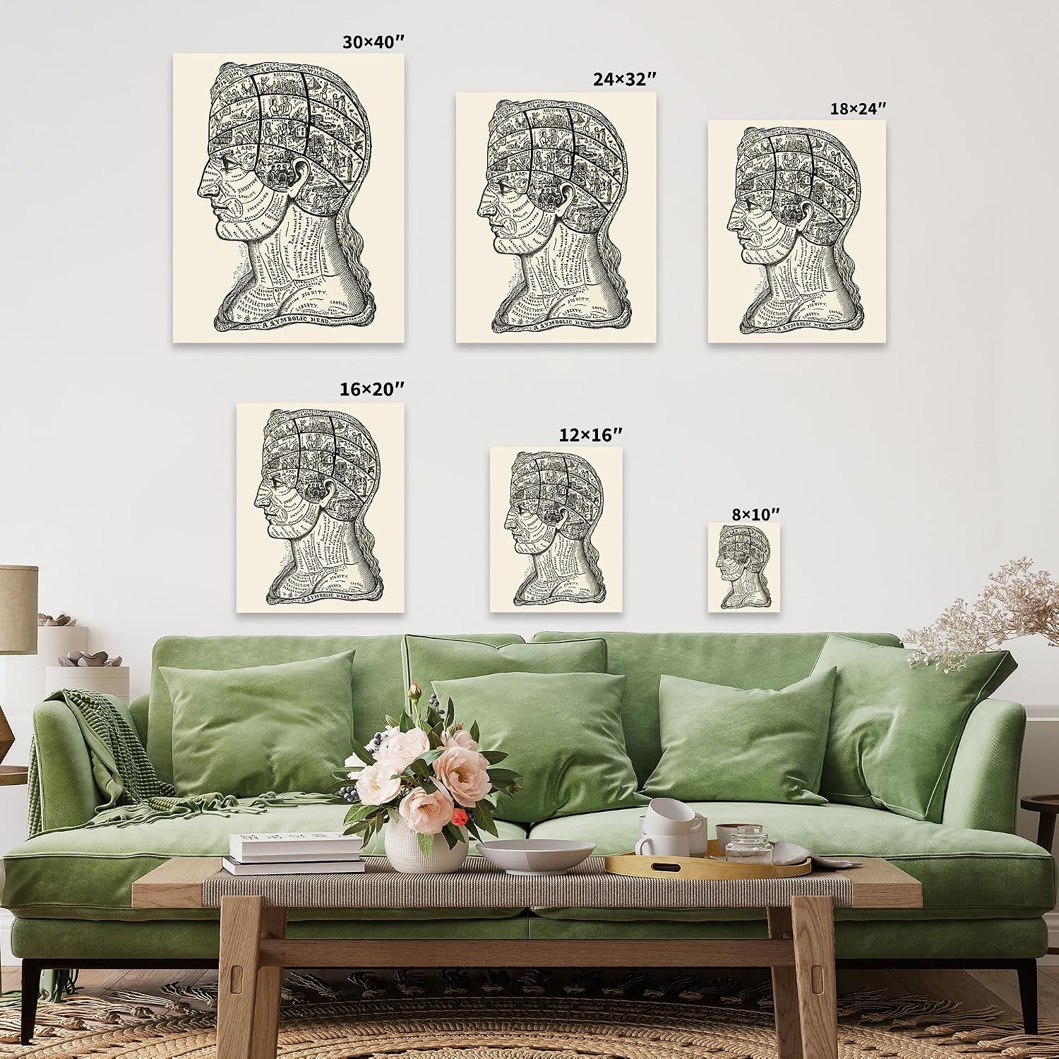 Poster Master A Symbolic Head Phrenology Print 1899 - Phrenology Canvas, Fine Art Print of a Scientific or Pseudoscience Academia Medical Illustration - 8x10 STRETCHED Canvas