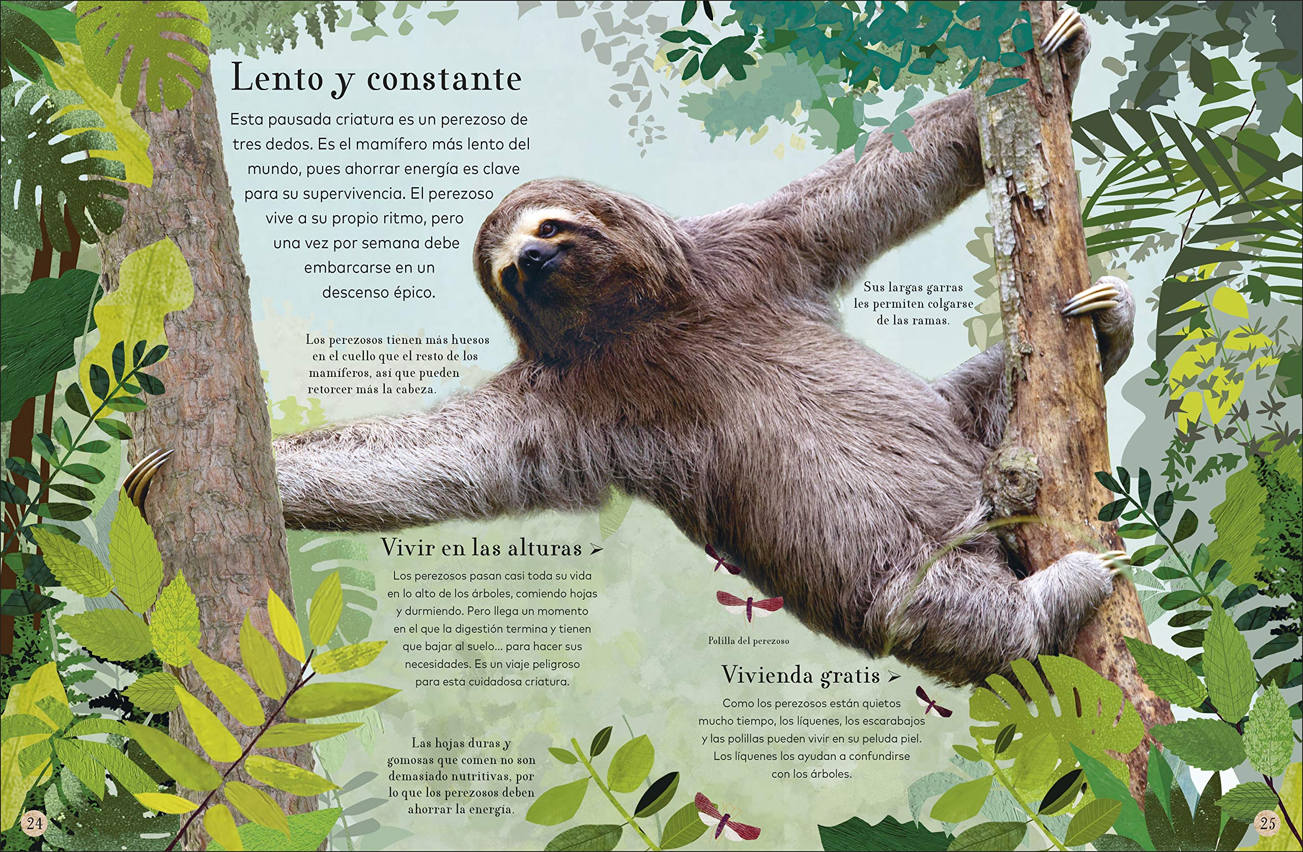 ?Donde viven los animales? (Through the Animal Kingdom): Animales asombrosos y sus extraordinarios habitats (Journey Through) (Spanish Edition) - Image 3