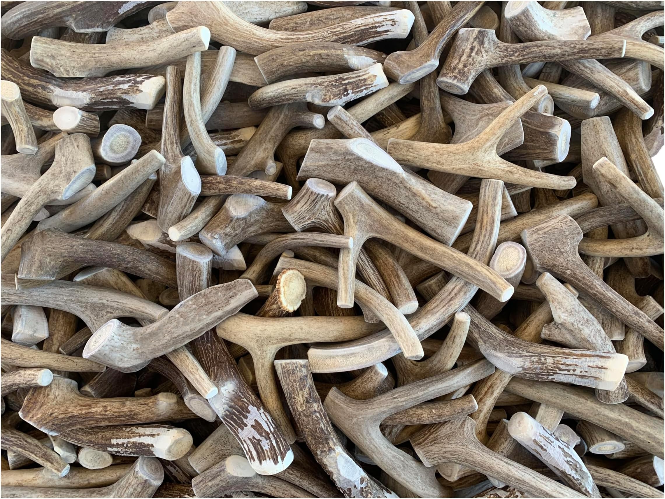 Antler Man Premium Deer Antler Pieces - Dog Chews - Sold by The Pound