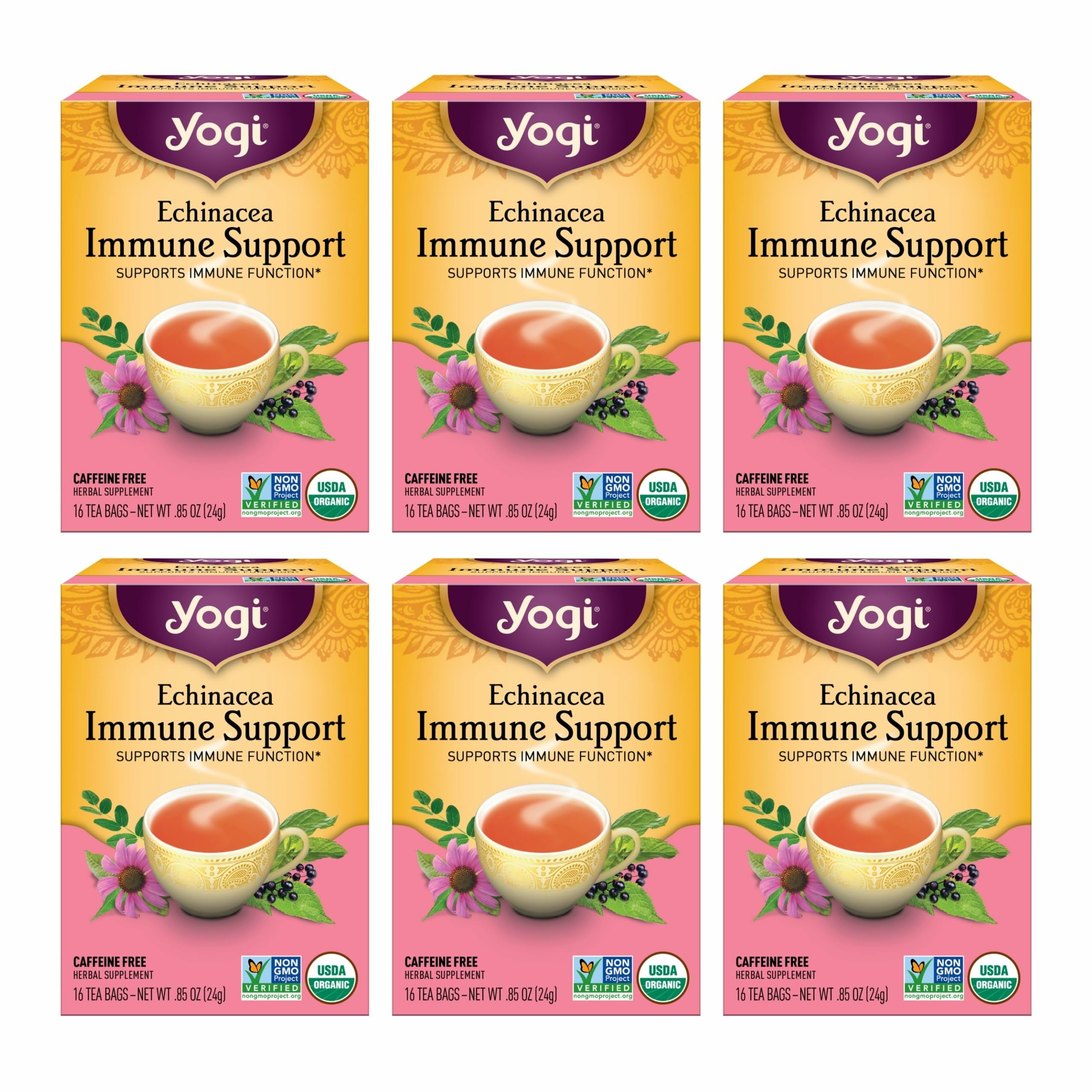 Tea Echinacea Immune Support Tea - 16 Tea Bags per Pack (6 Packs) - Organic Immunity Support Tea - Includes Peppermint Leaf, Lemongrass, Cinnamon Bark, Echinacea Purpurea, Licorice Root & More