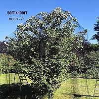 Vista 8 de Red para pájaros de 50 x 50 pies con red cuadrada de malla para pájaros de 2.4 pulgadas para techo de gallinero, red de aves de corral para jardín