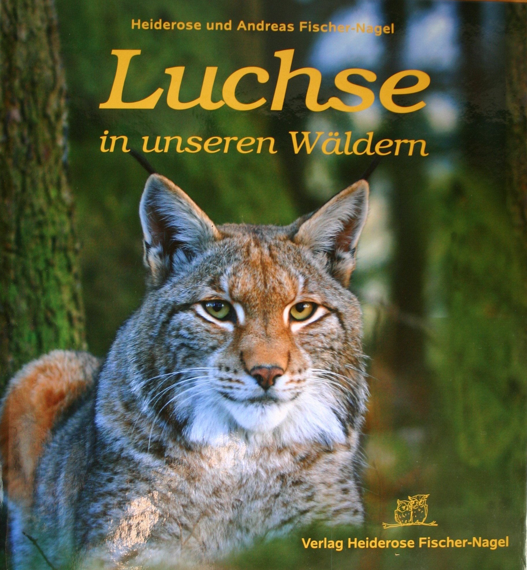 Luchse in unseren Wäldern