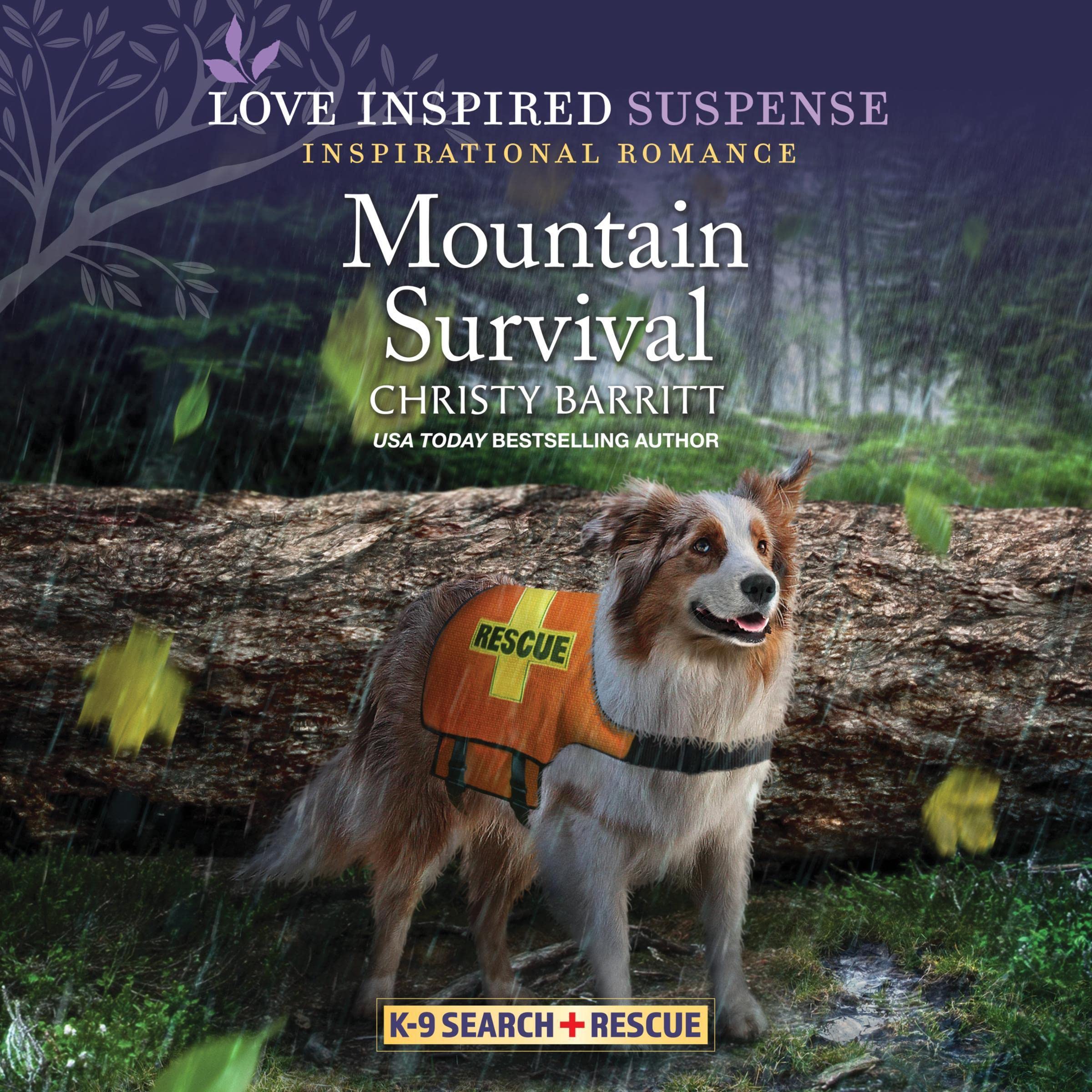 Cover art for Mountain Survival