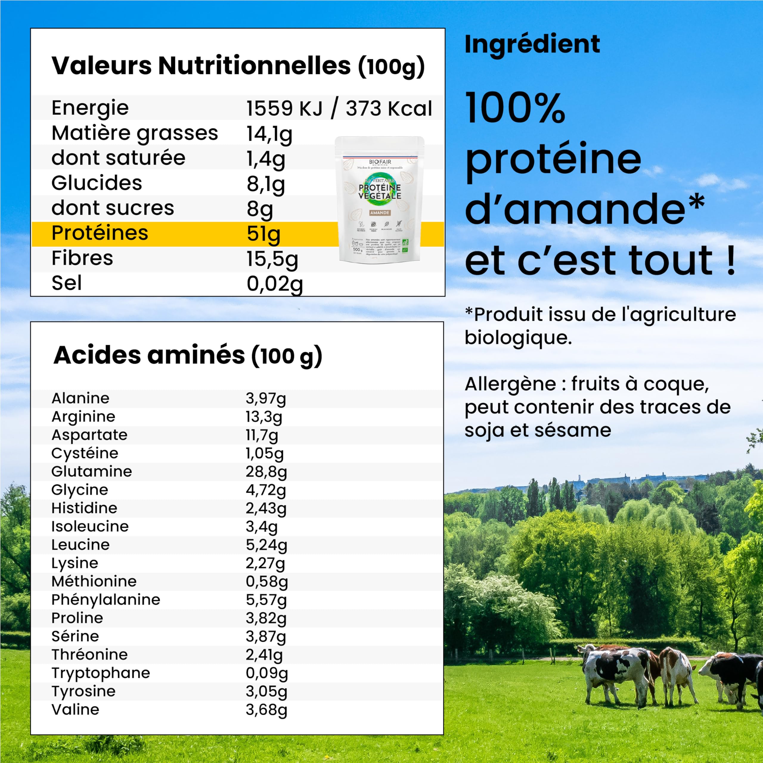 Protéine Vegan, Végétale et Bio - À Base d'Amande de Sicile - Saine, 100% Naturelle et Responsable - 20 Doses de 25 Gr - 500 Gr