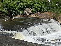 Review Image by S. Hendrix S. Hendrix